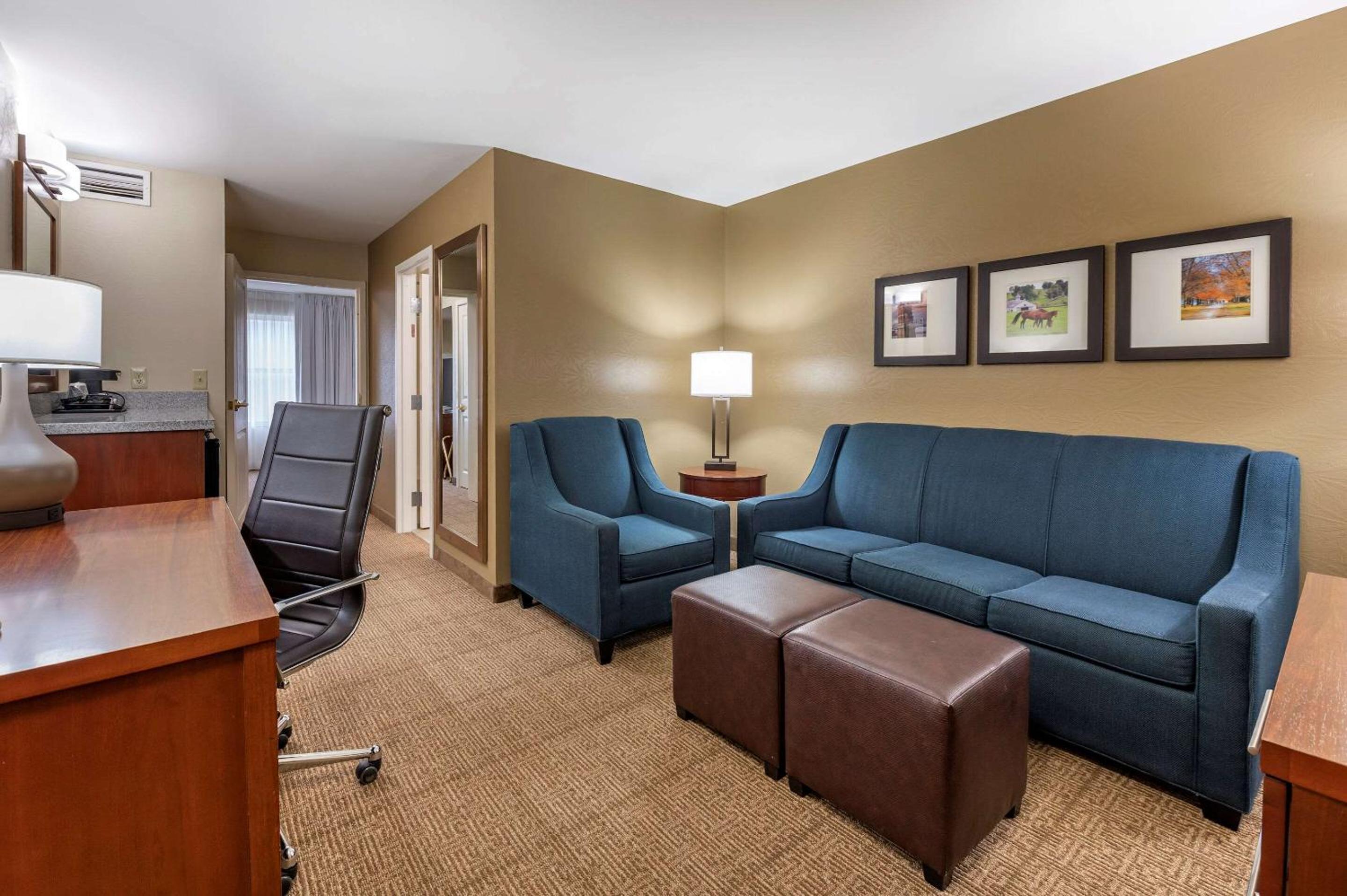 King Suite with Sofa Bed - Photo 2