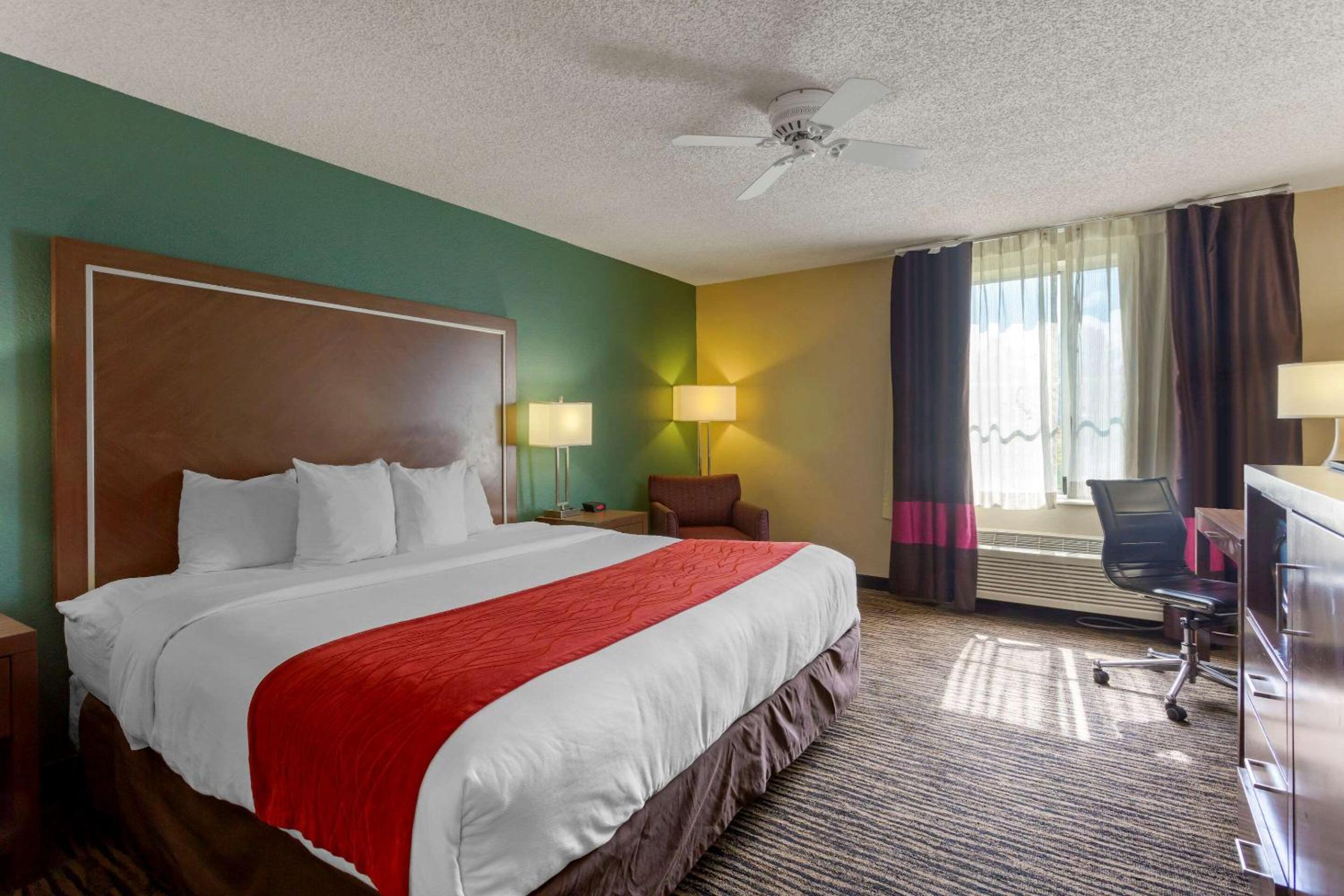 King Room - Non-Smoking - Photo 1