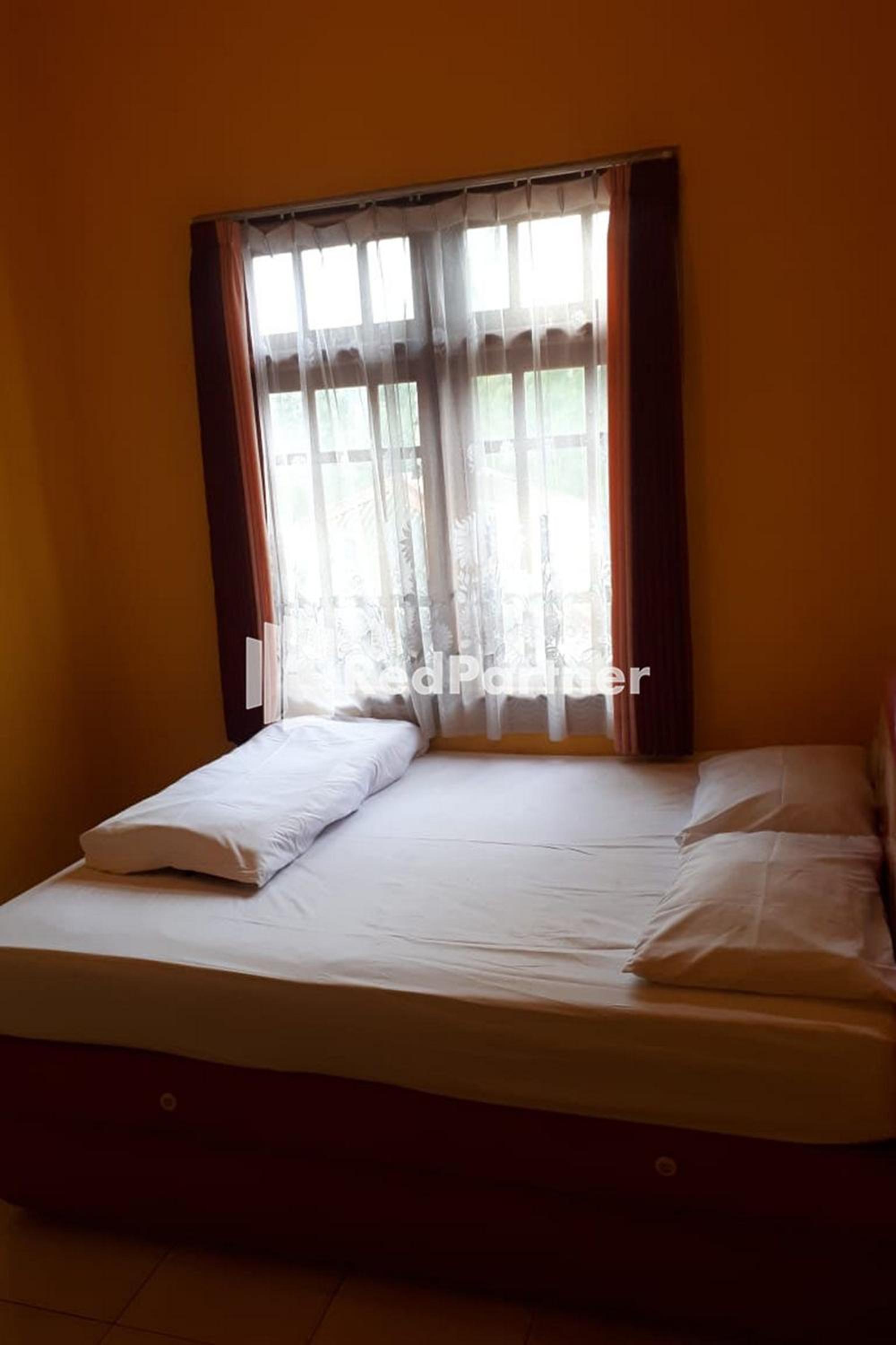 Standard Double Room - Photo 1