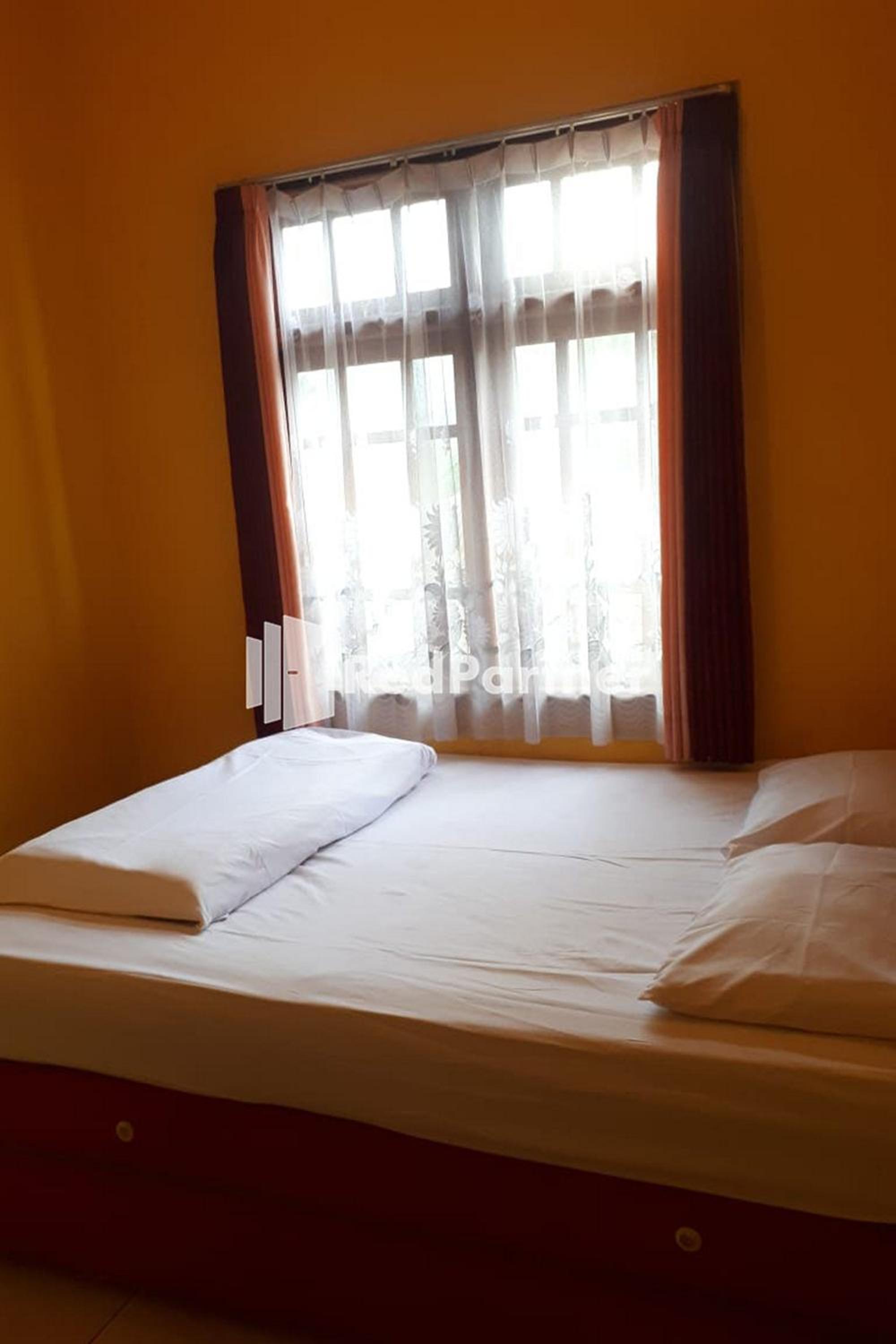 Standard Double Room - Photo 3