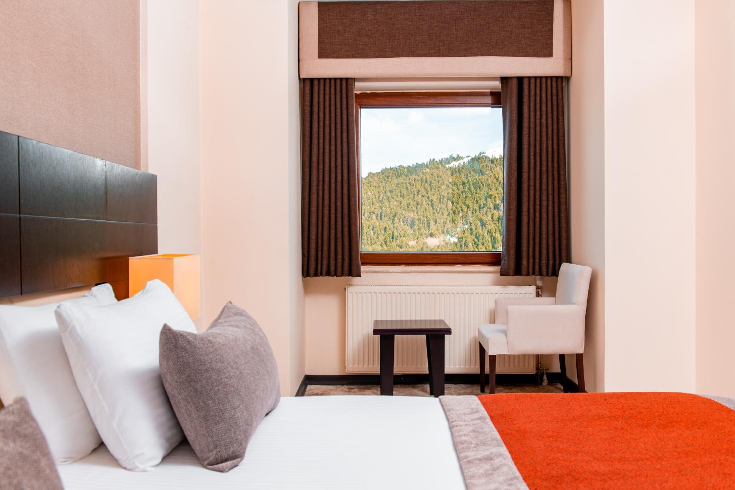Deluxe Double or Twin Room with Mountain View
