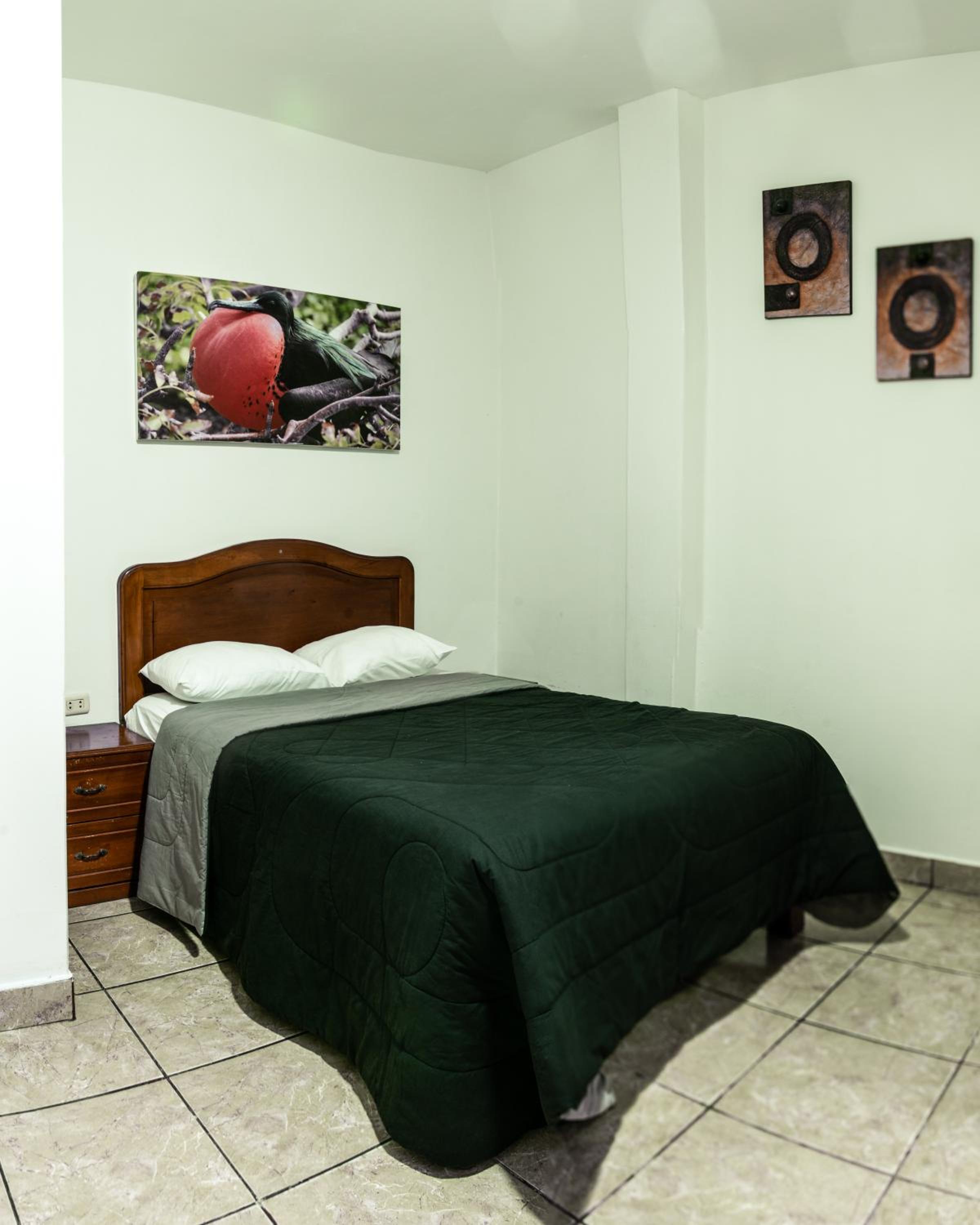 Single Room photo 3