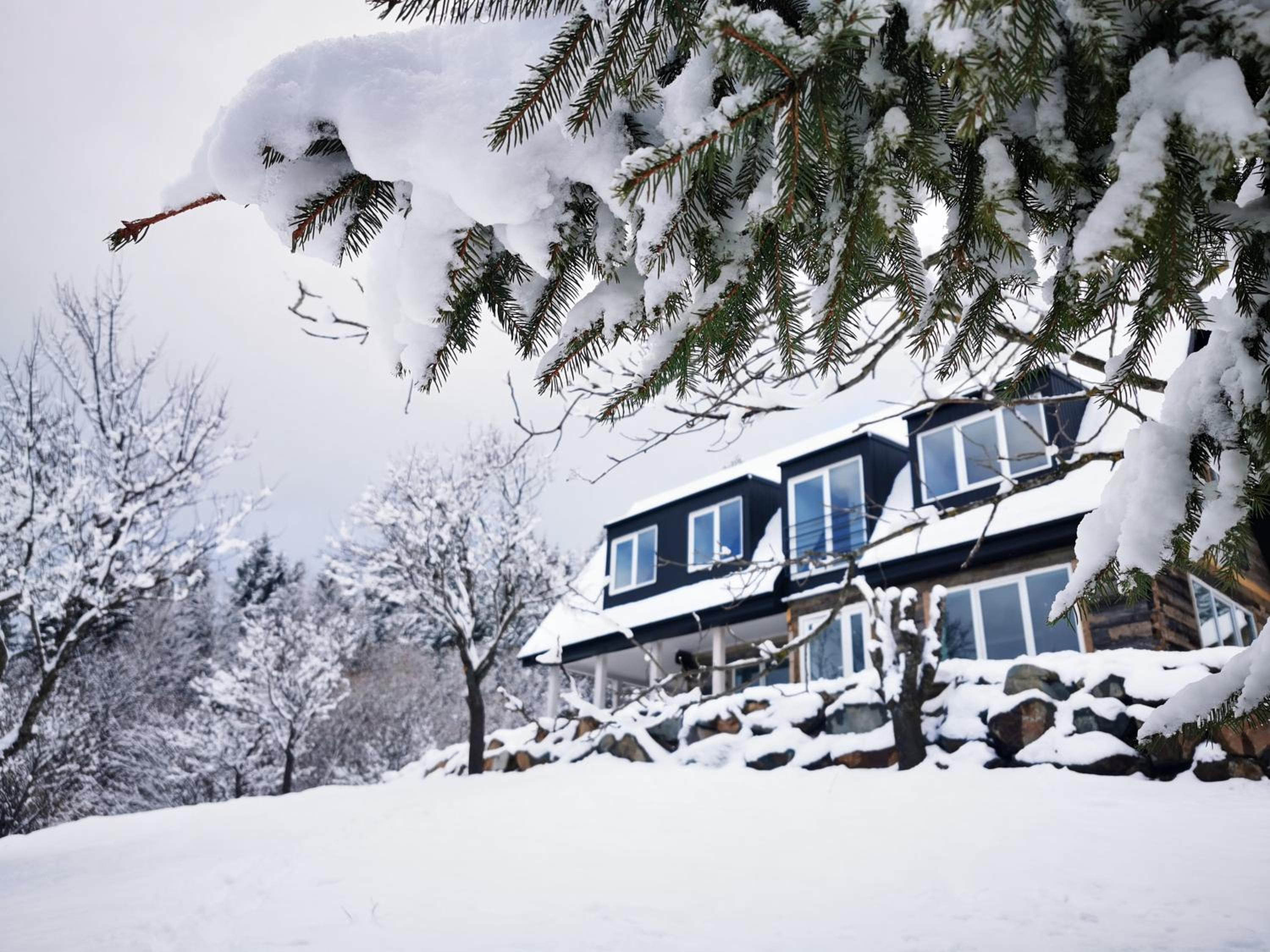 Three-Bedroom Chalet - Photo 9
