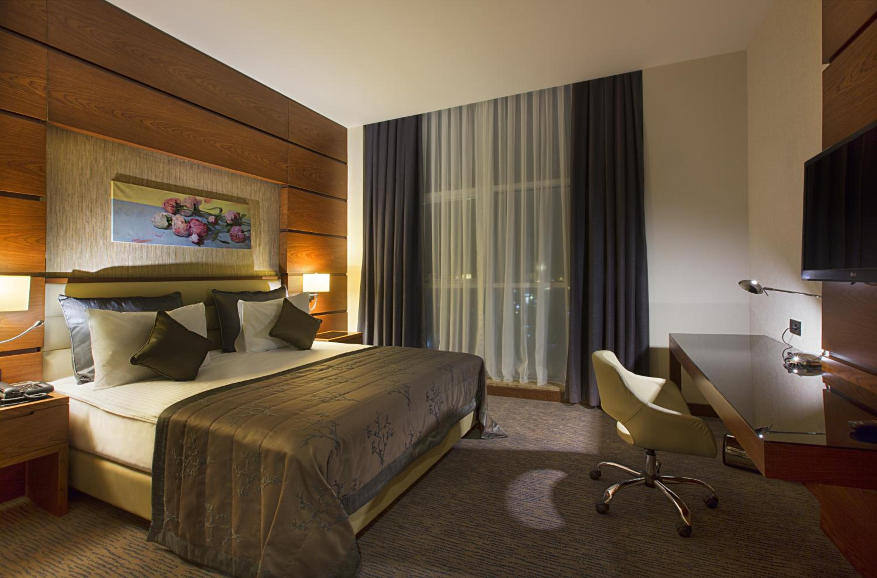 Senior Suite - Photo 2
