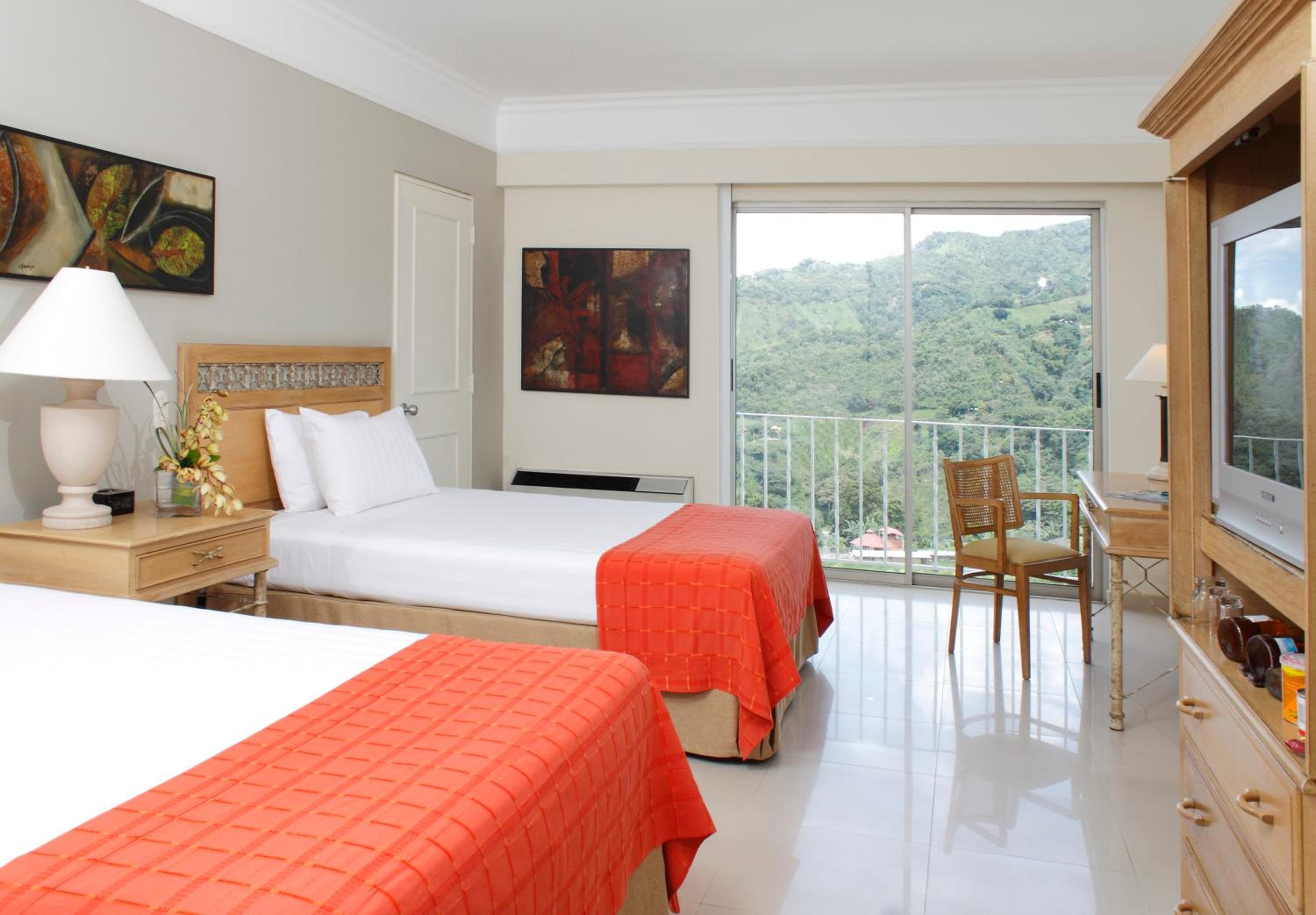 Deluxe Twin Room photo 3
