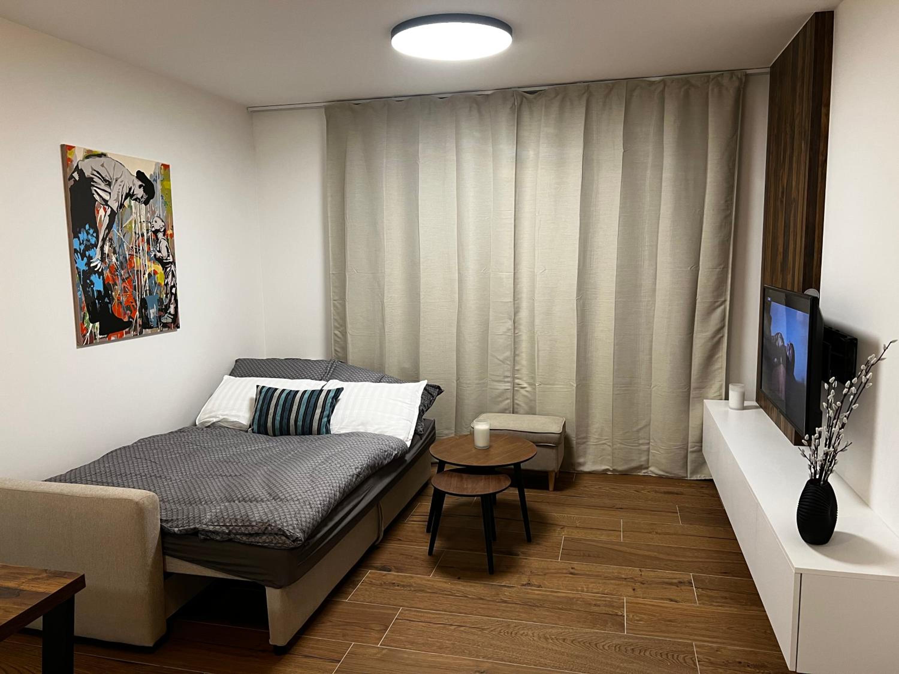 One-Bedroom Apartment - Photo 2