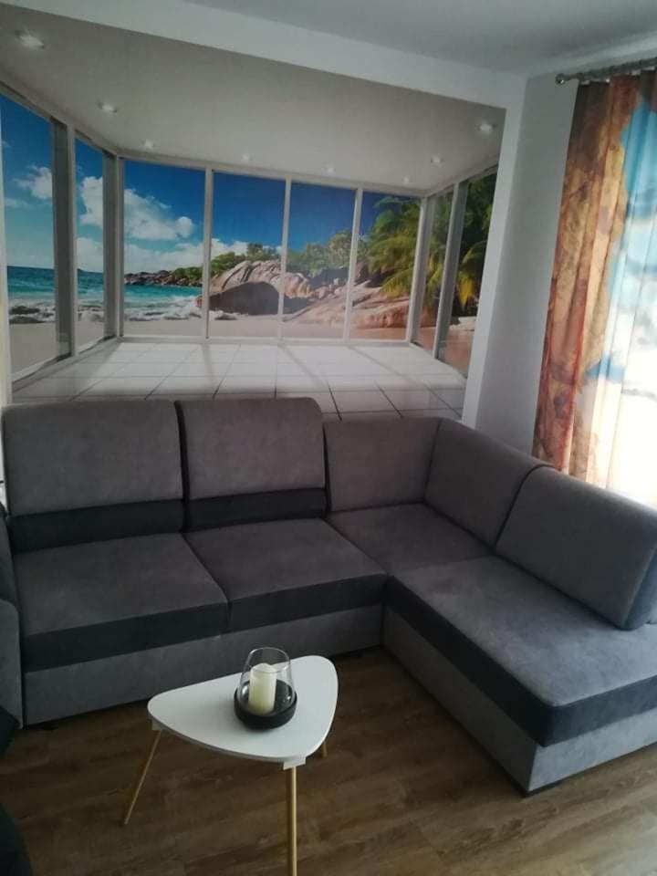 Studio with Terrace photo 1