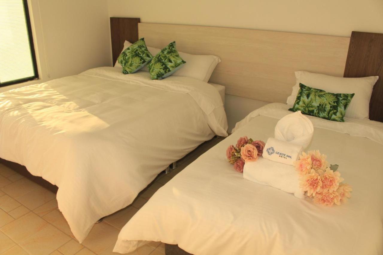 Deluxe Twin Room photo 1