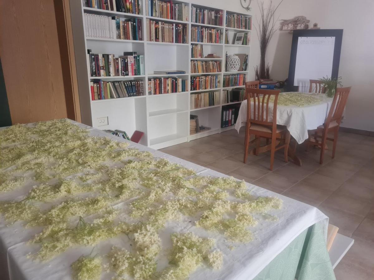 Apartment - Ground Floor photo 1