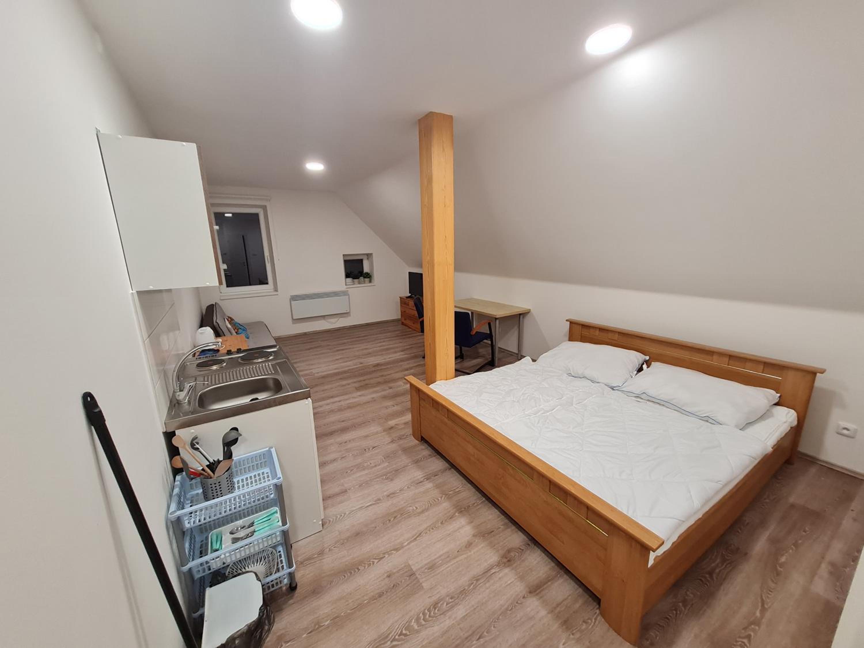 Standard Apartment photo 1