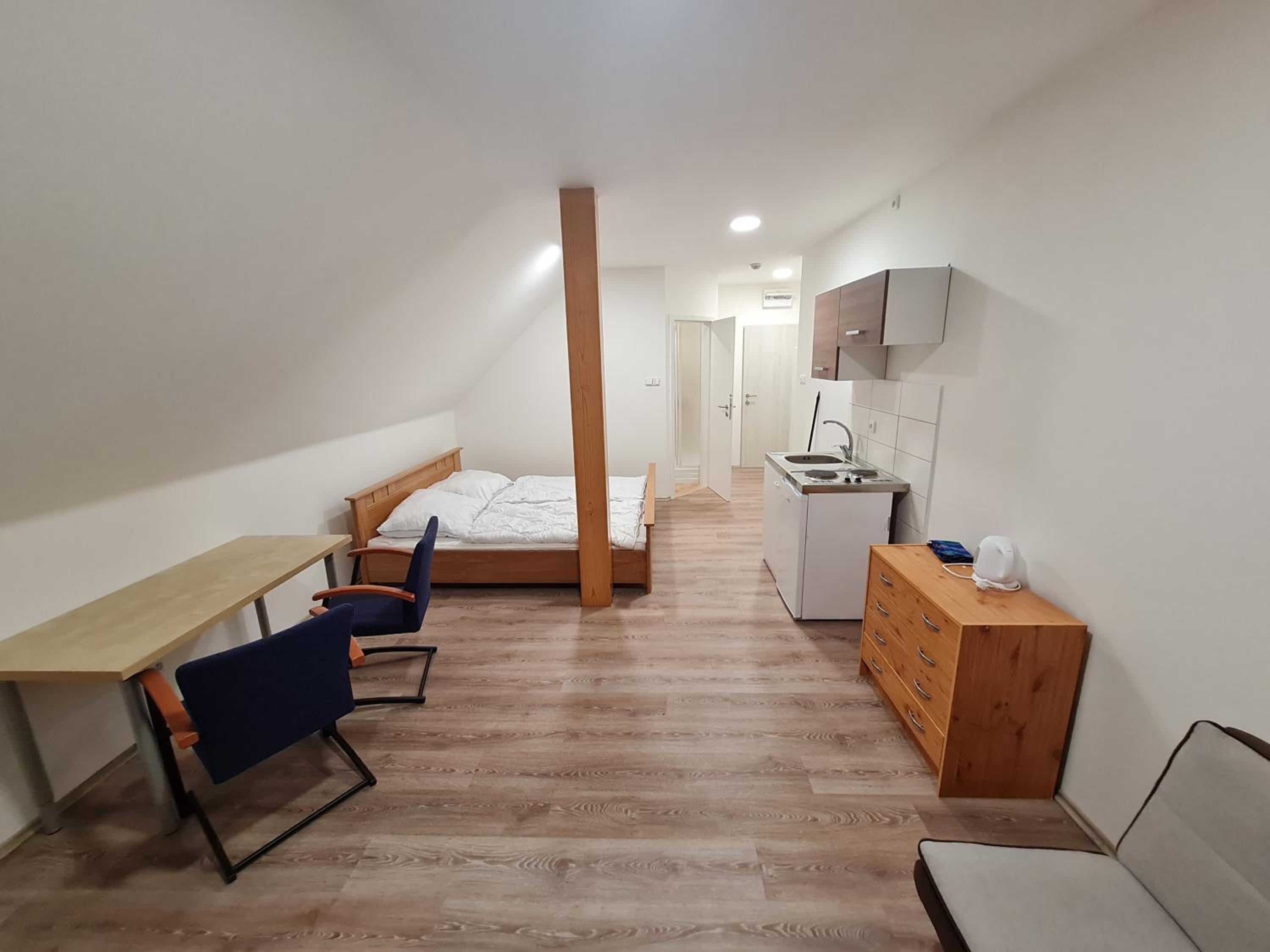 Standard Apartment photo 2