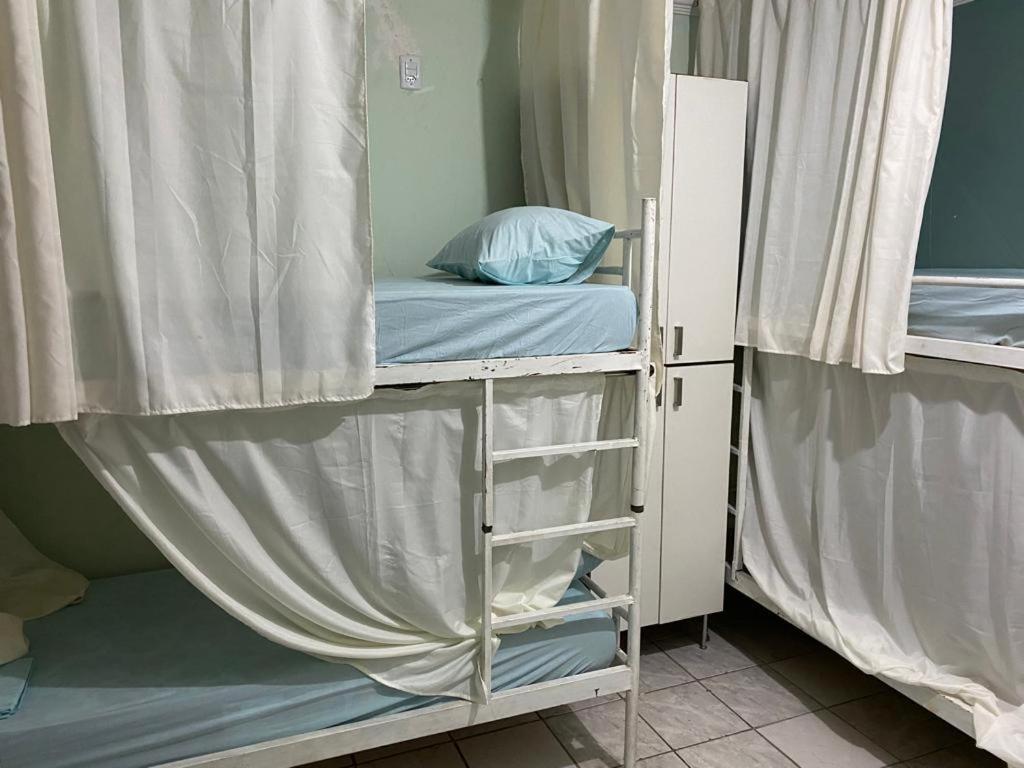 Bunk Bed in Mixed Dormitory Room photo 1