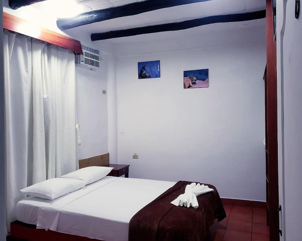 Large Single Room photo 1