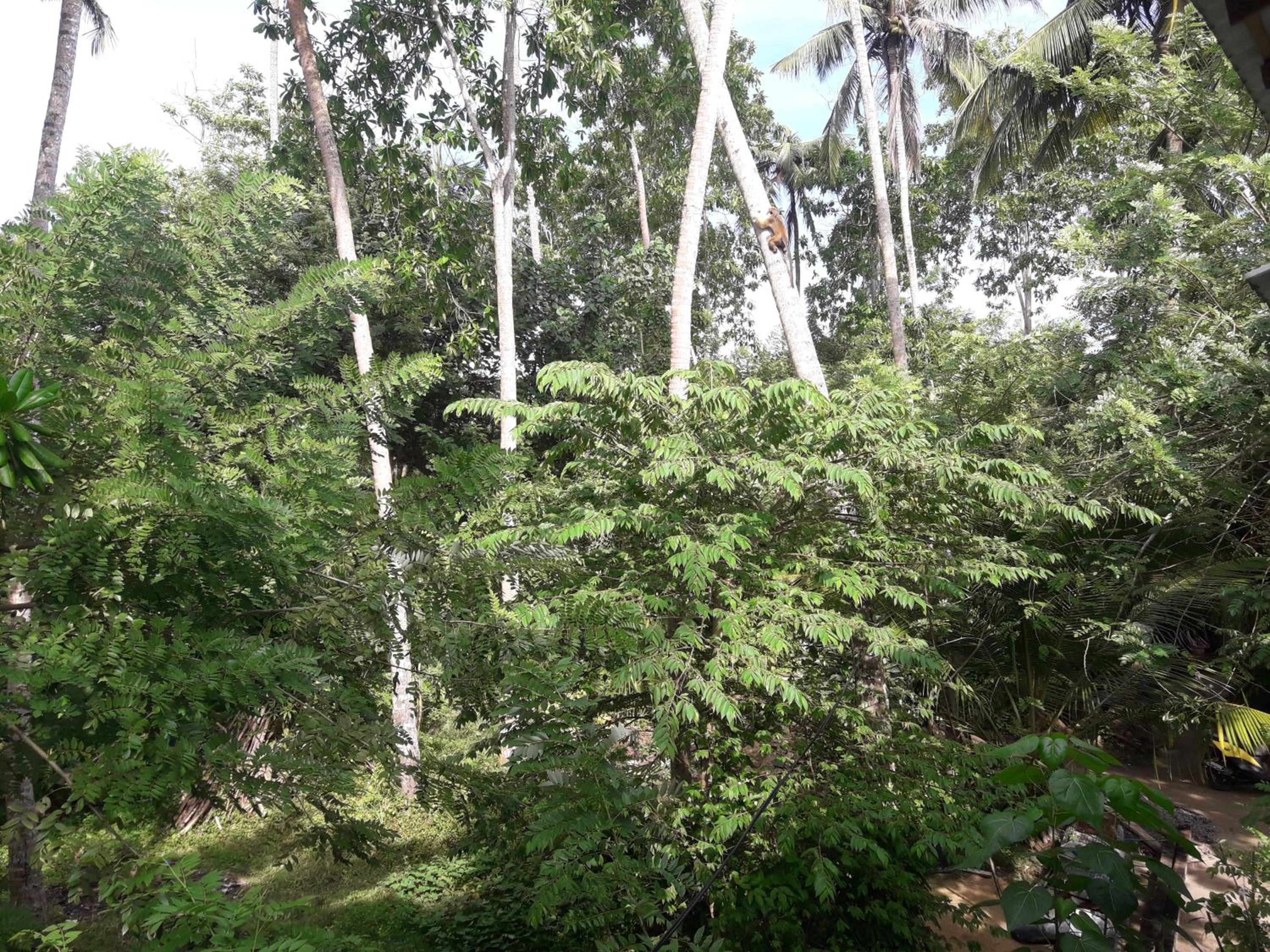 Double Room With Garden View photo 2