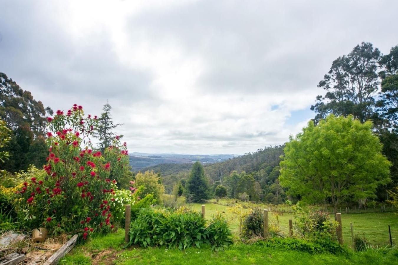 Standard Self-Contained Studio Cottage with Private Bathroom - The Hut photo 3