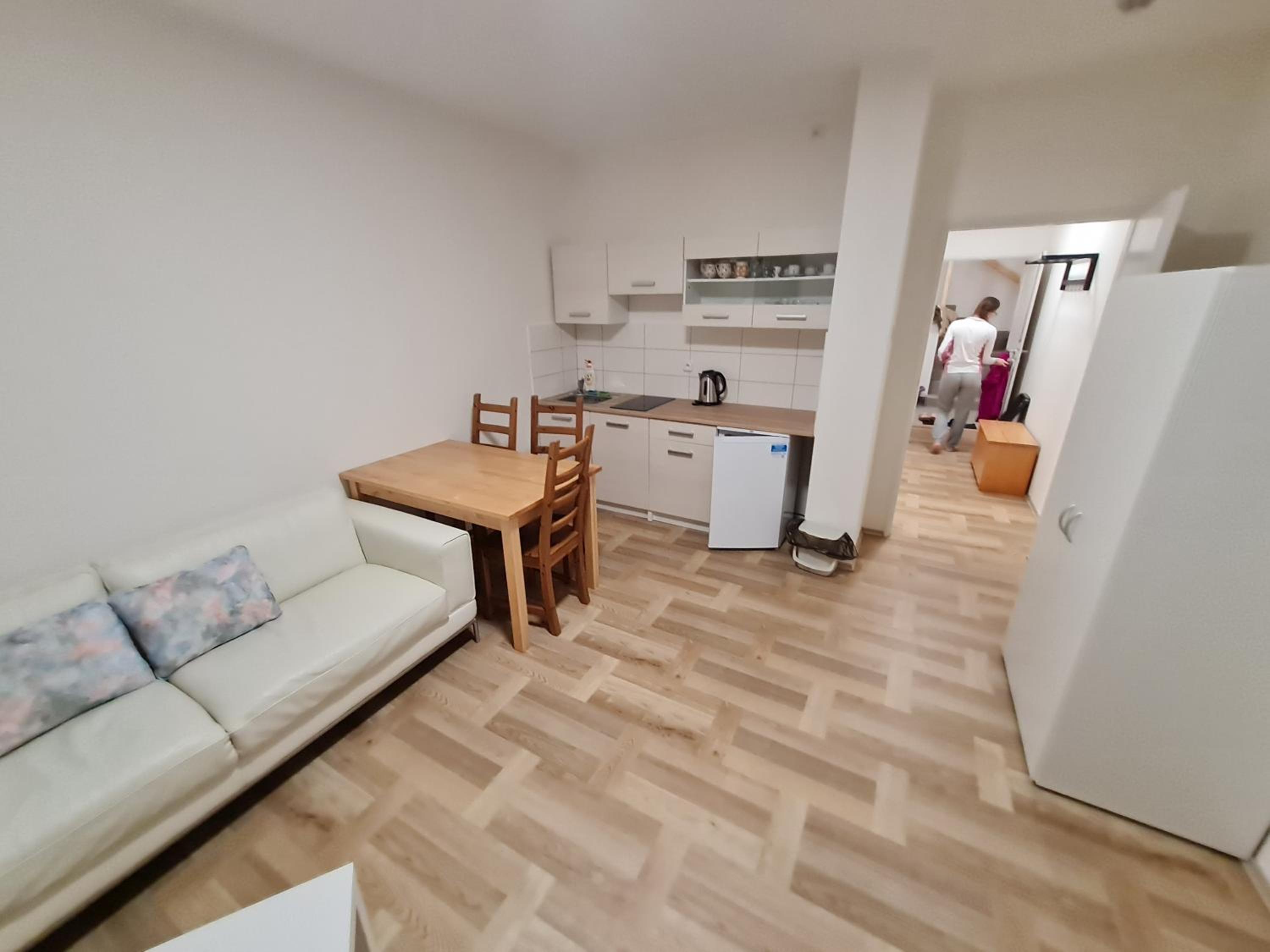 Standard Apartment photo 3