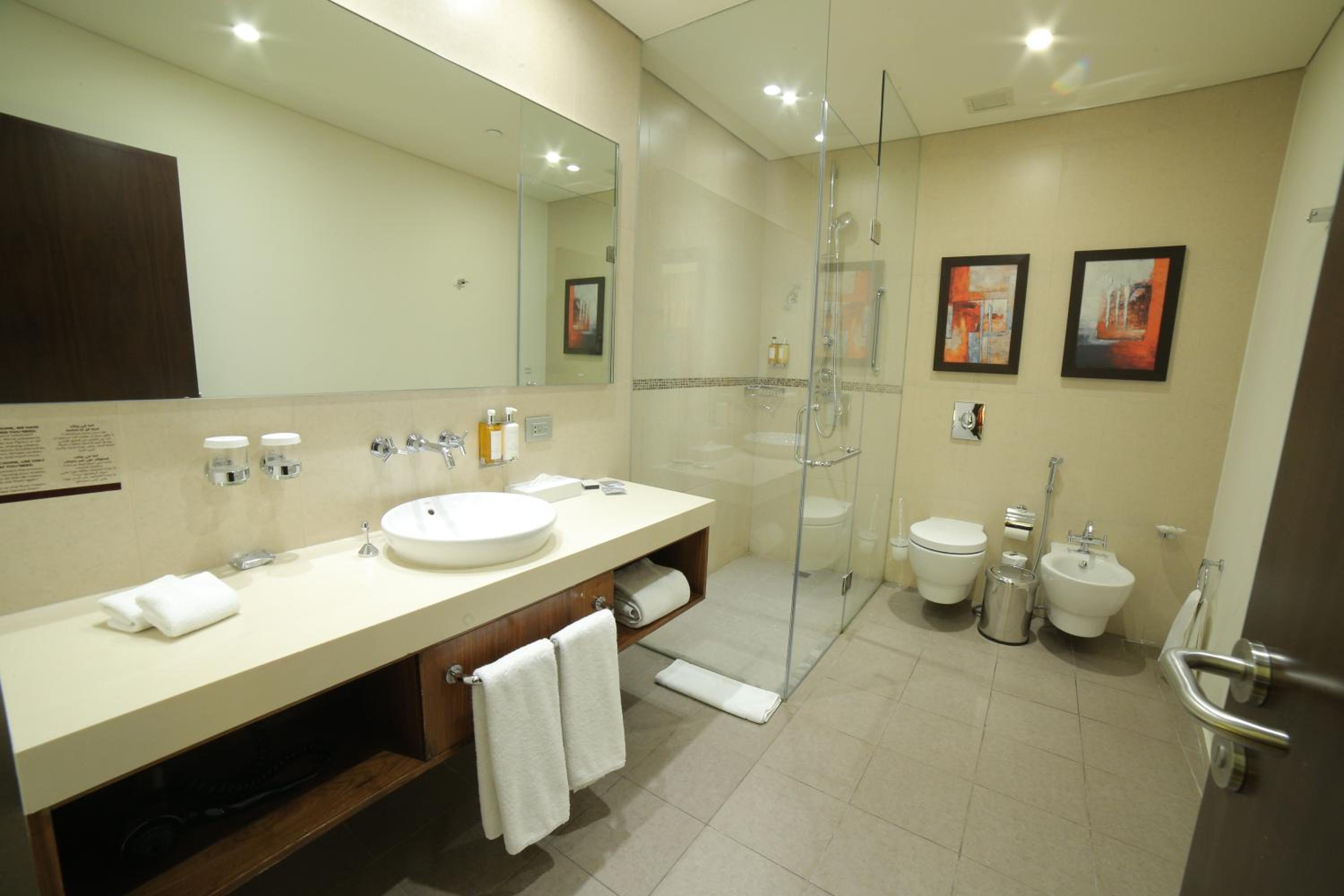 Studio Suite - Photo 4