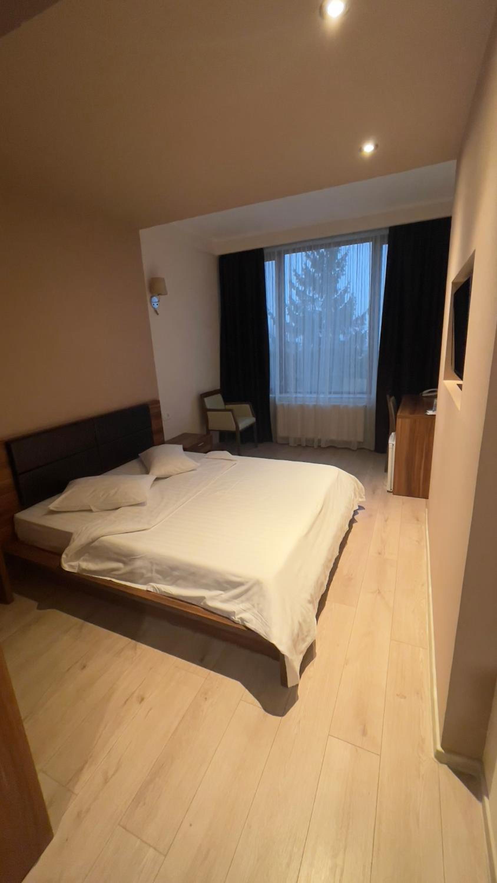 Deluxe Double Room photo 1