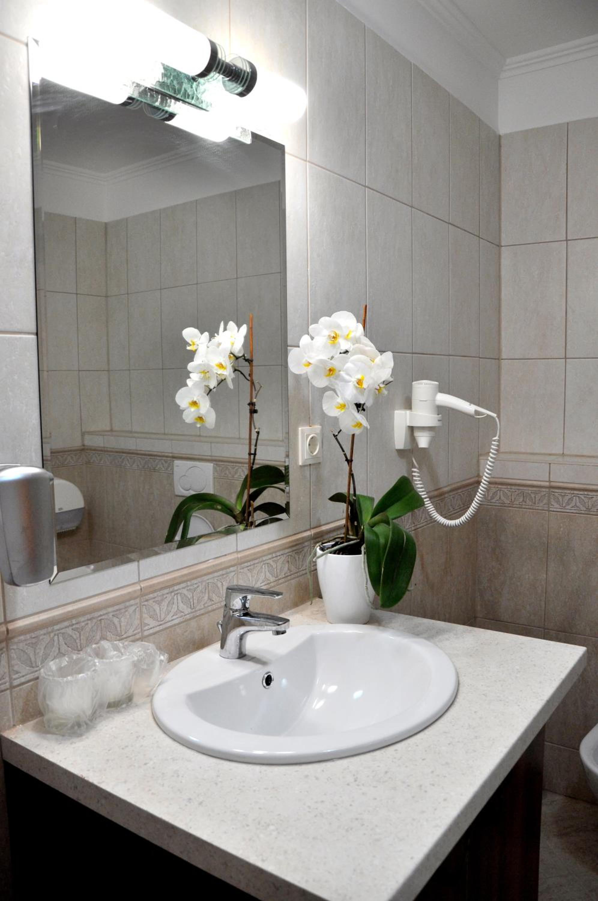 Suite photo 2