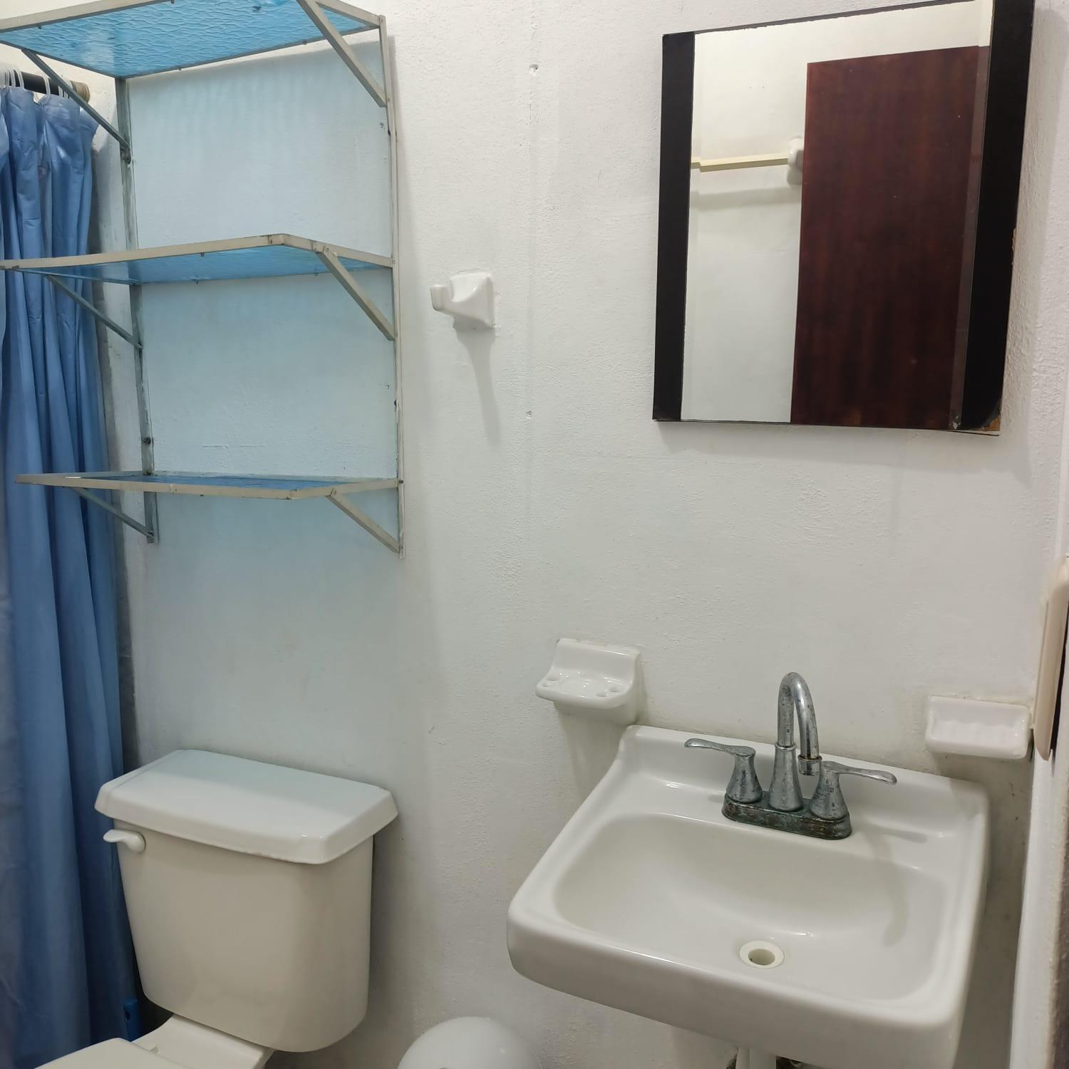 One-Bedroom Apartment - Photo 4
