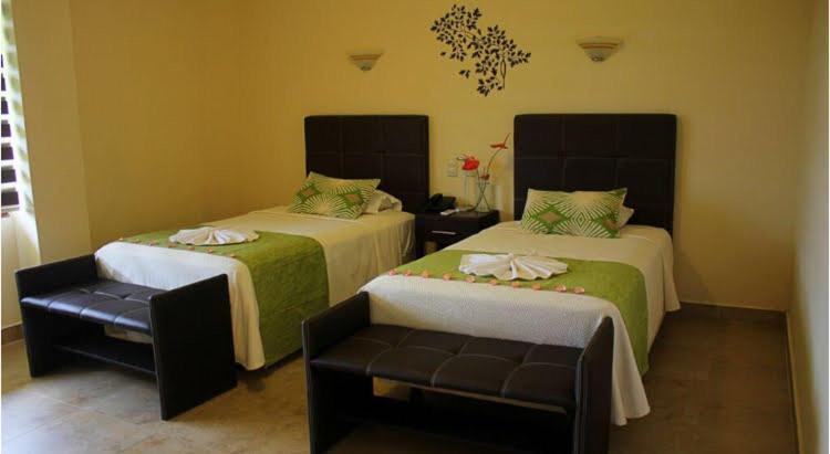 Twin Room photo 3