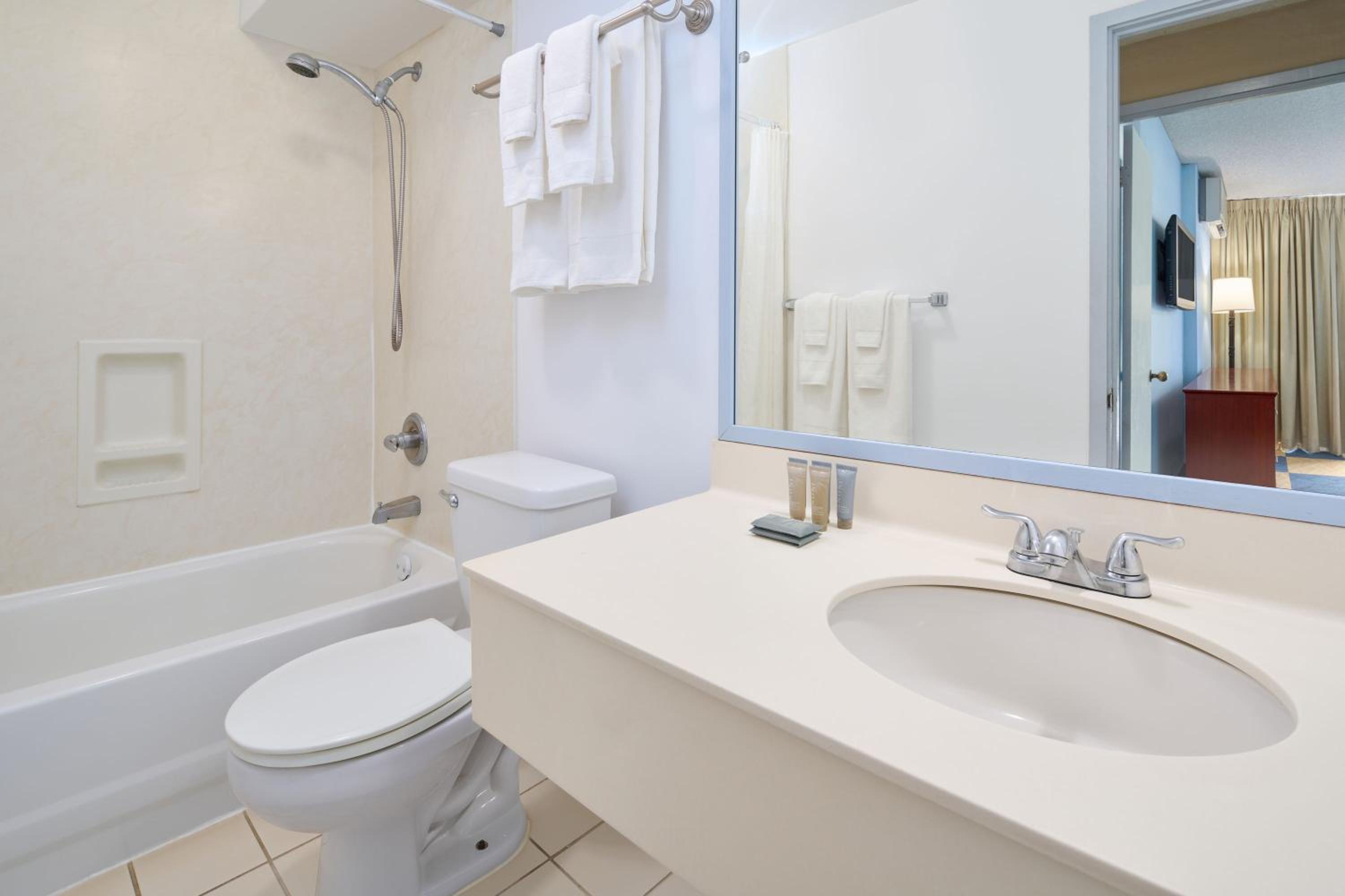 One-Bedroom Suite - Photo 3