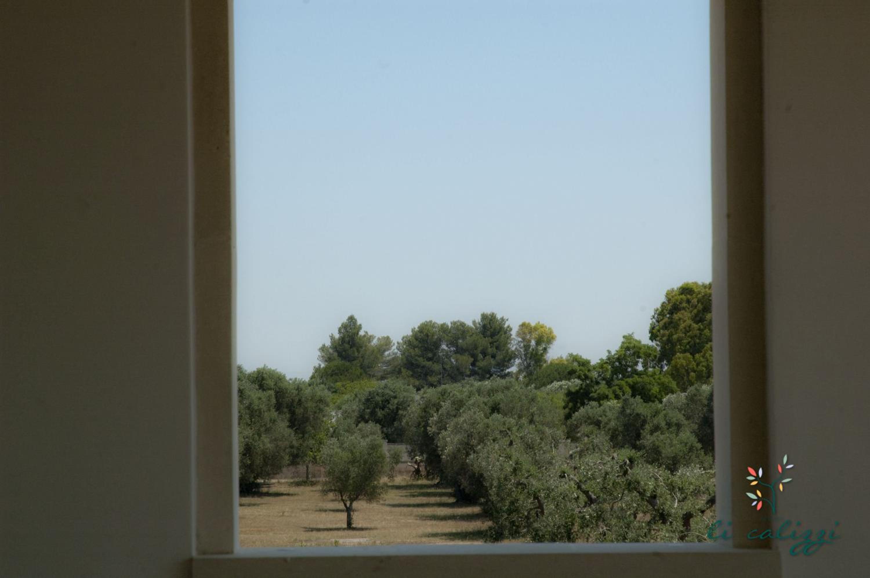 Double or Twin Room with Terrace, photo 7