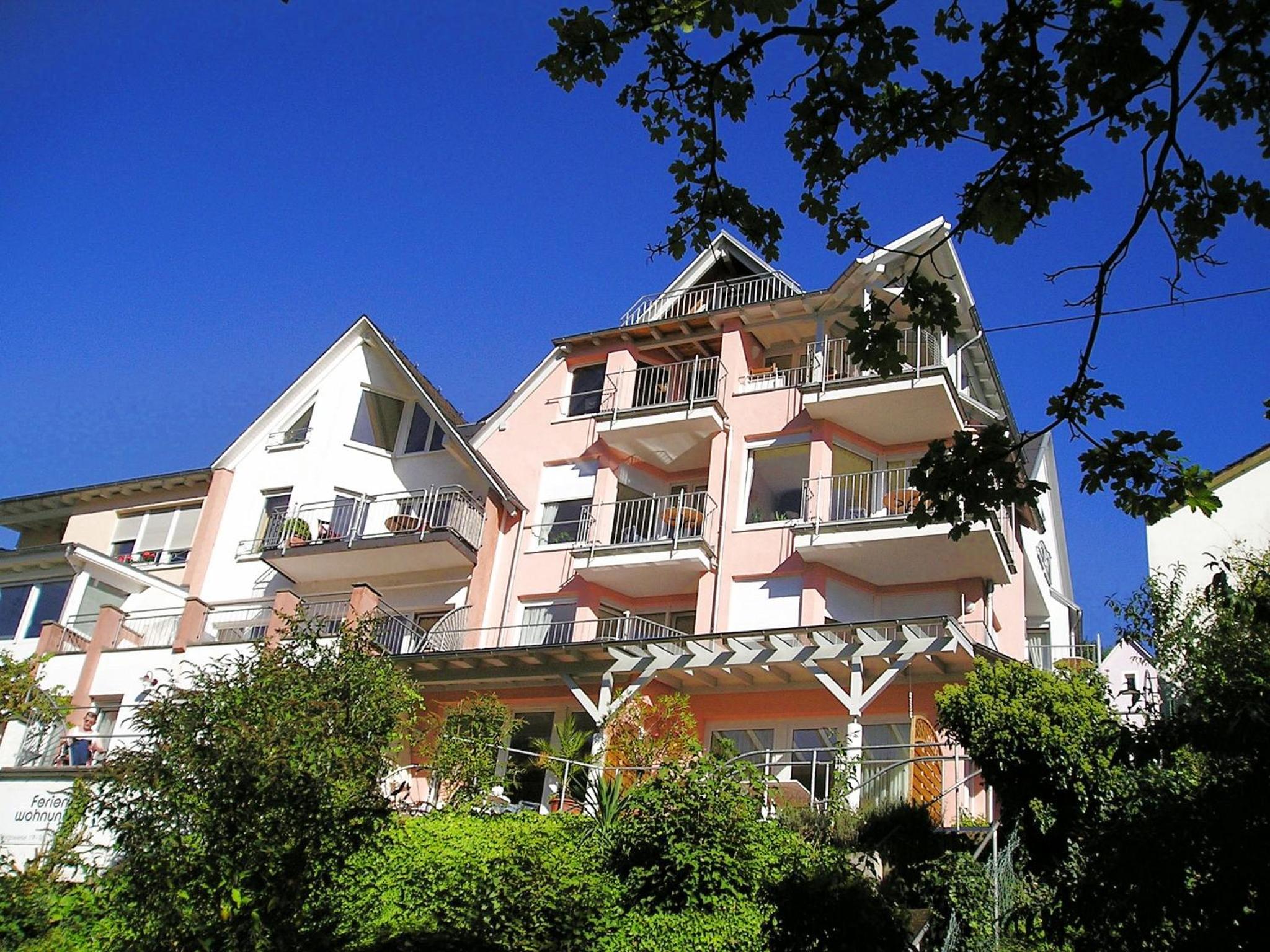 Apartment with Terrace photo 3