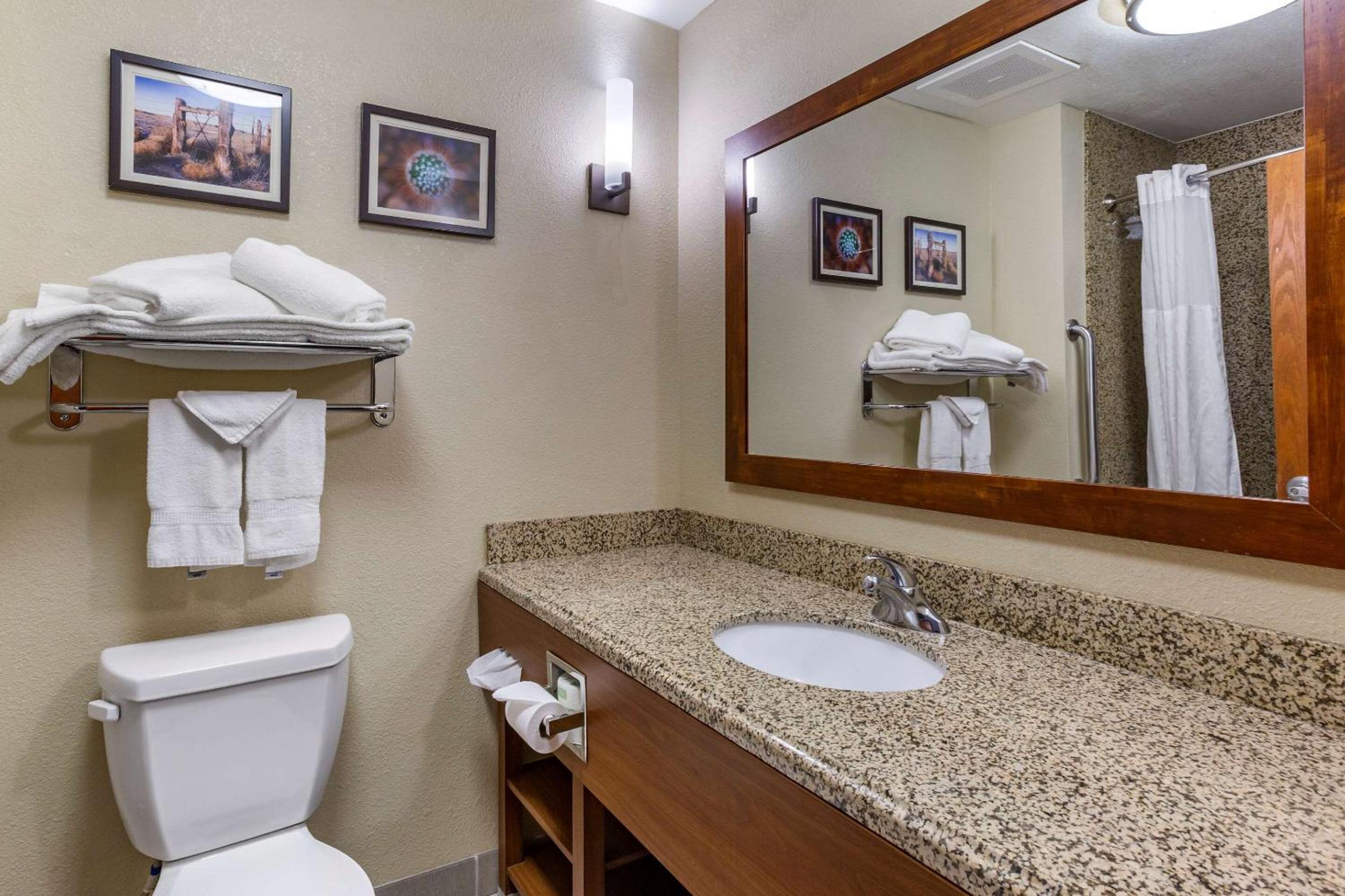 Standard King Suite - Non-Smoking - Photo 2