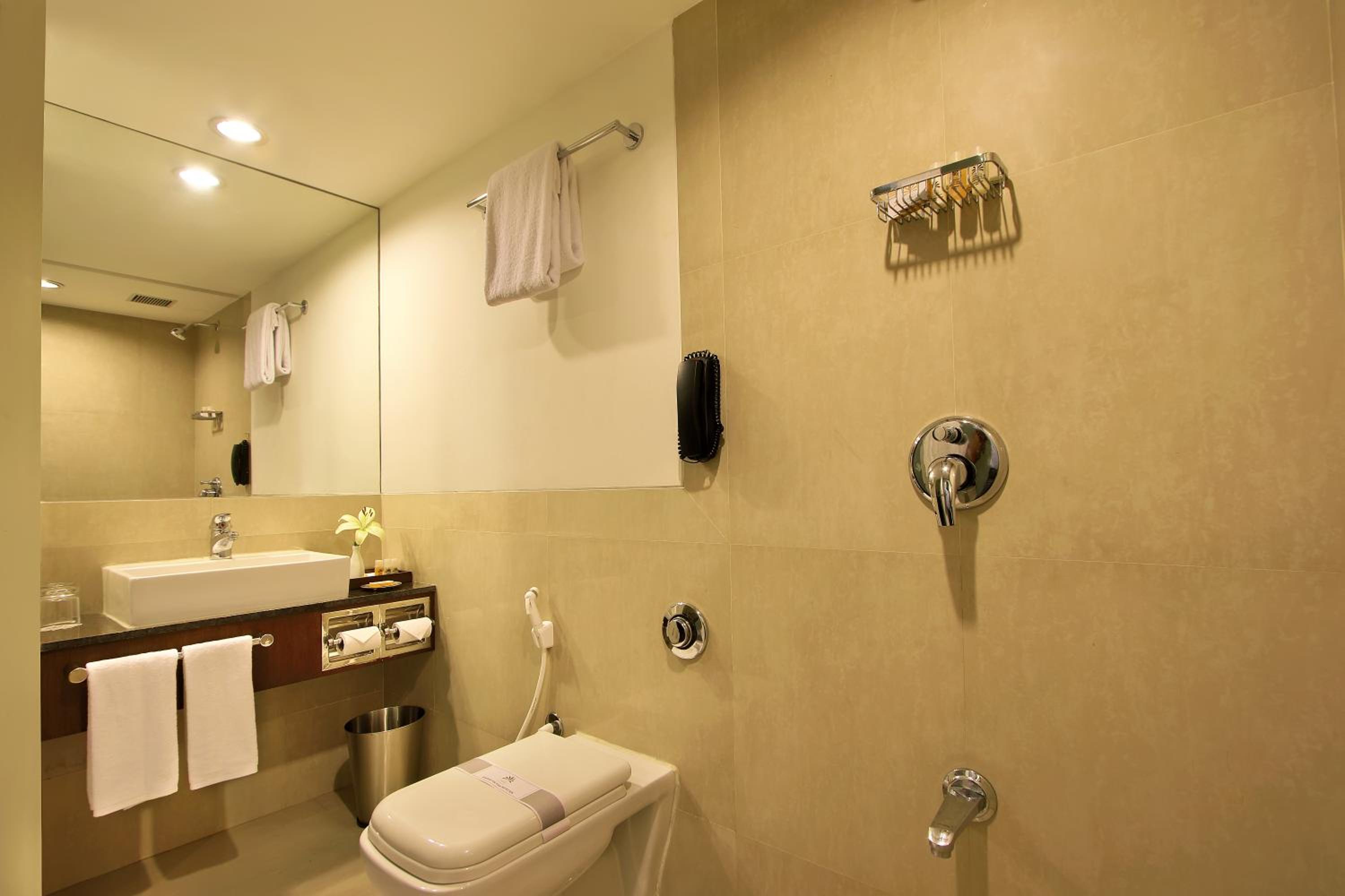 Deluxe Double Room photo 2