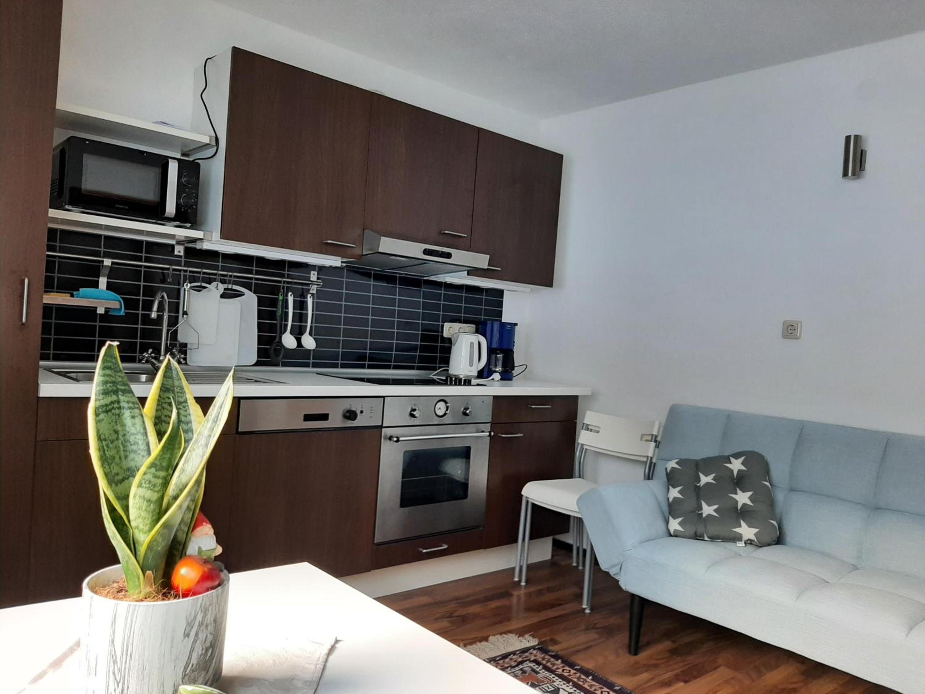 One-Bedroom Apartment photo 2