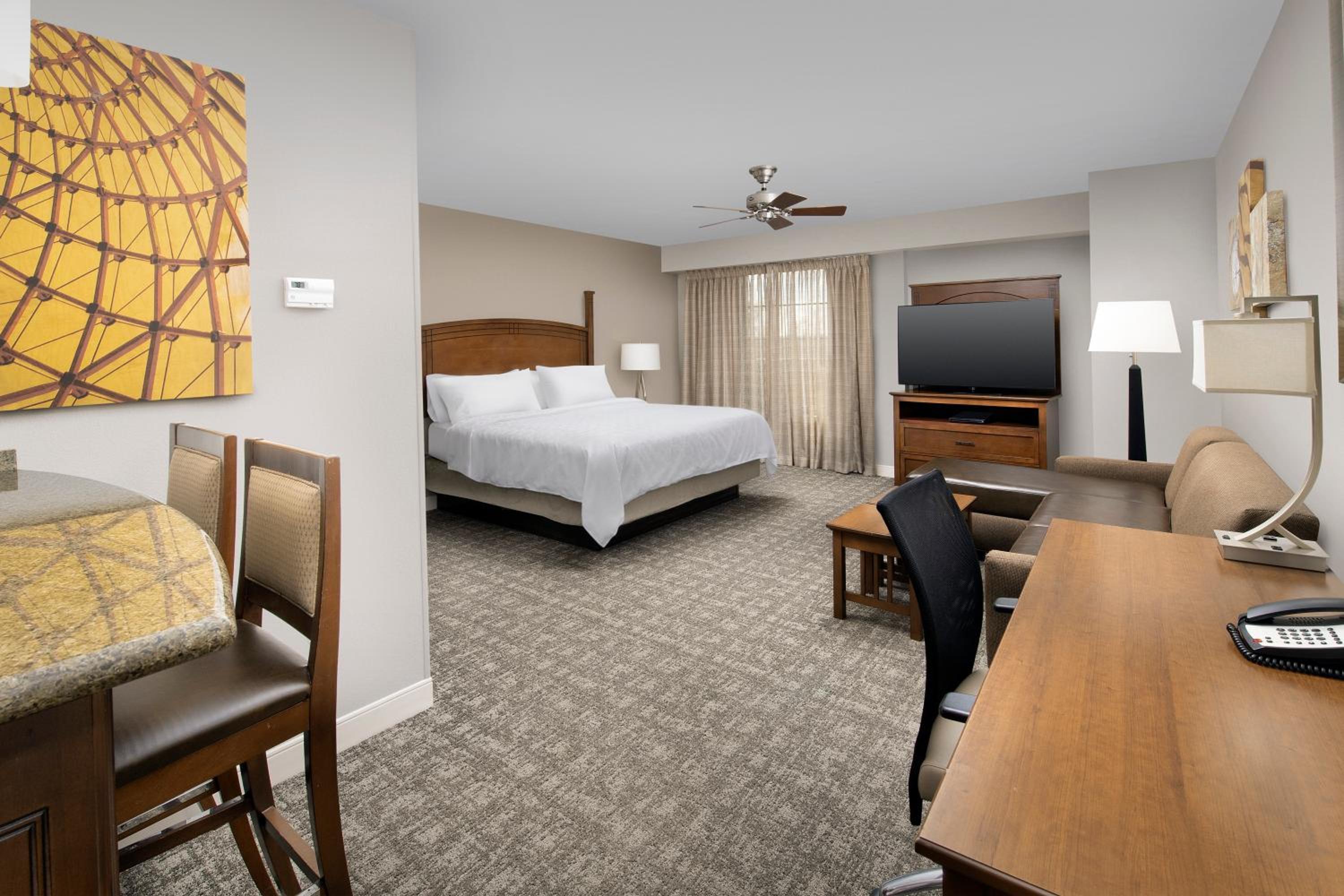 Studio Suite - Photo 1