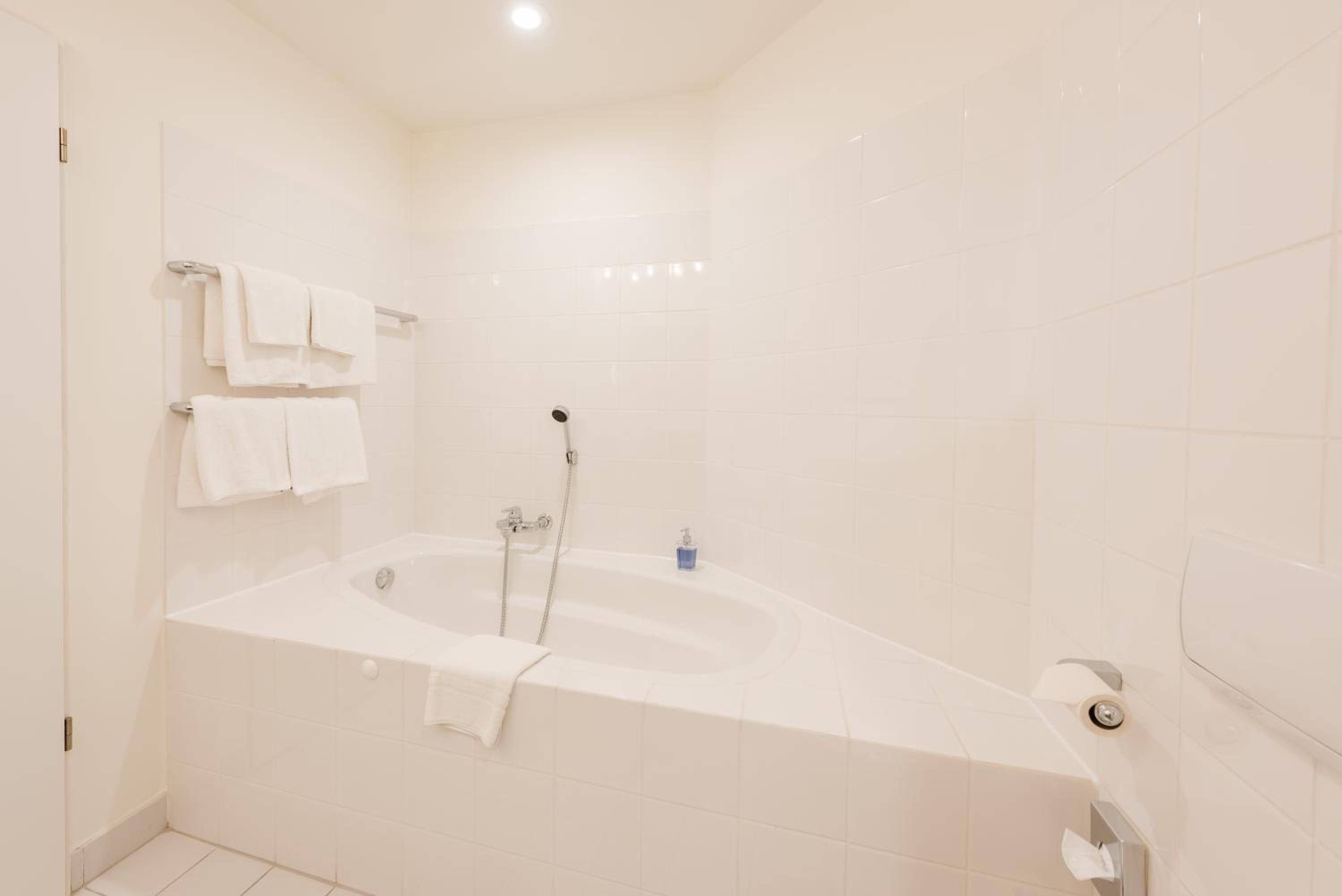 Deluxe Double Room photo 2