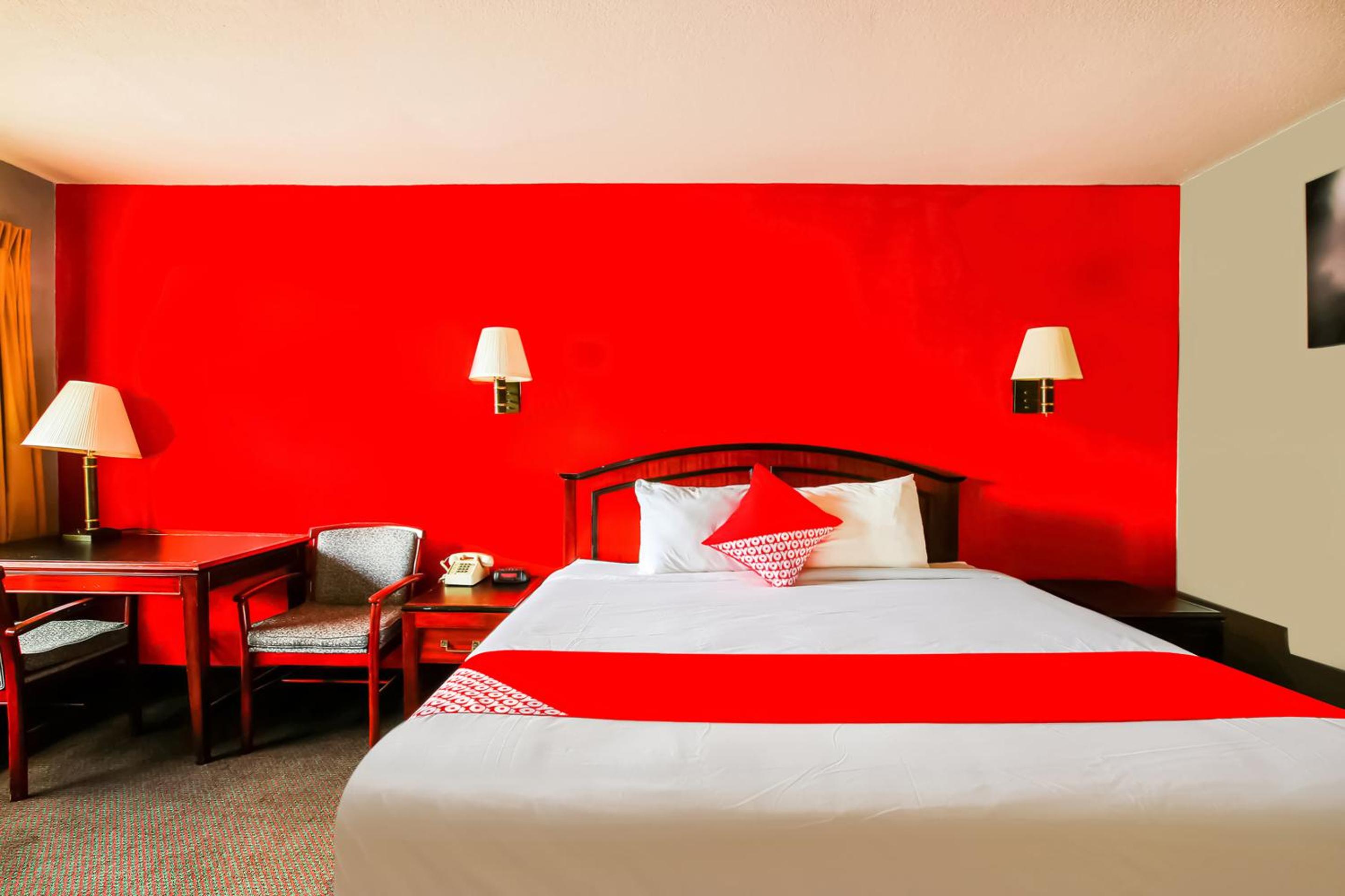 King Room photo 1