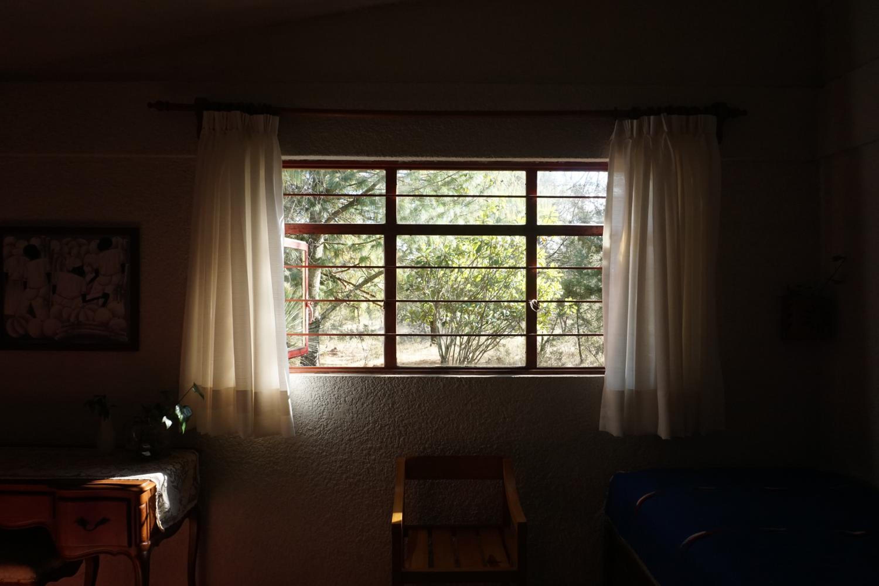 Twin Room photo 2
