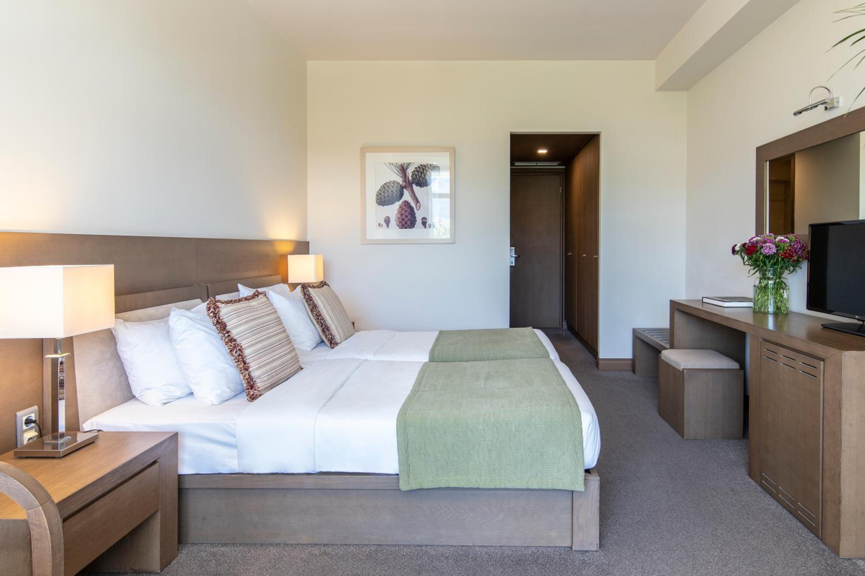 Deluxe Double or Twin Room with Balcony photo 3