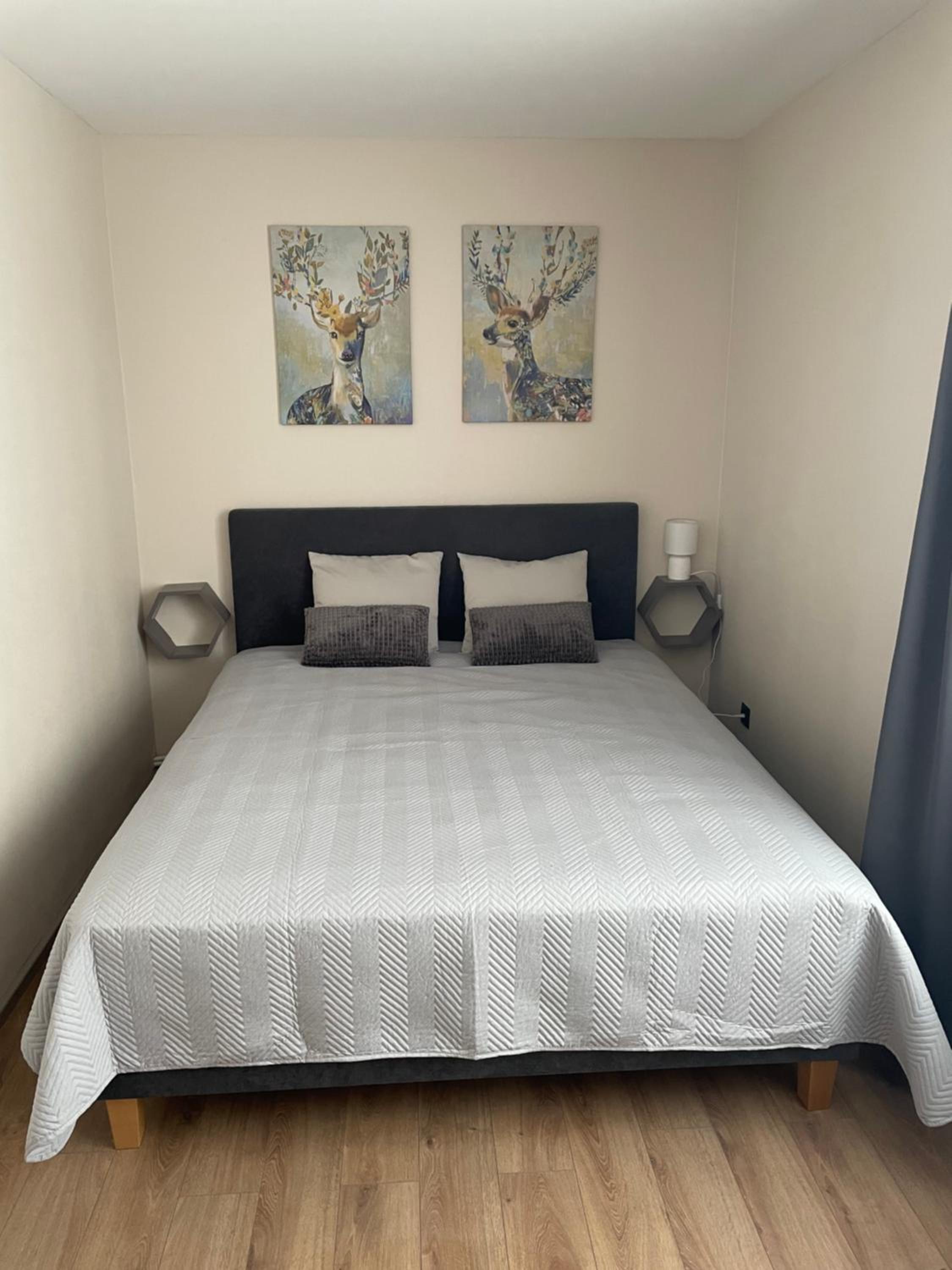 Three-Bedroom House - Photo 9