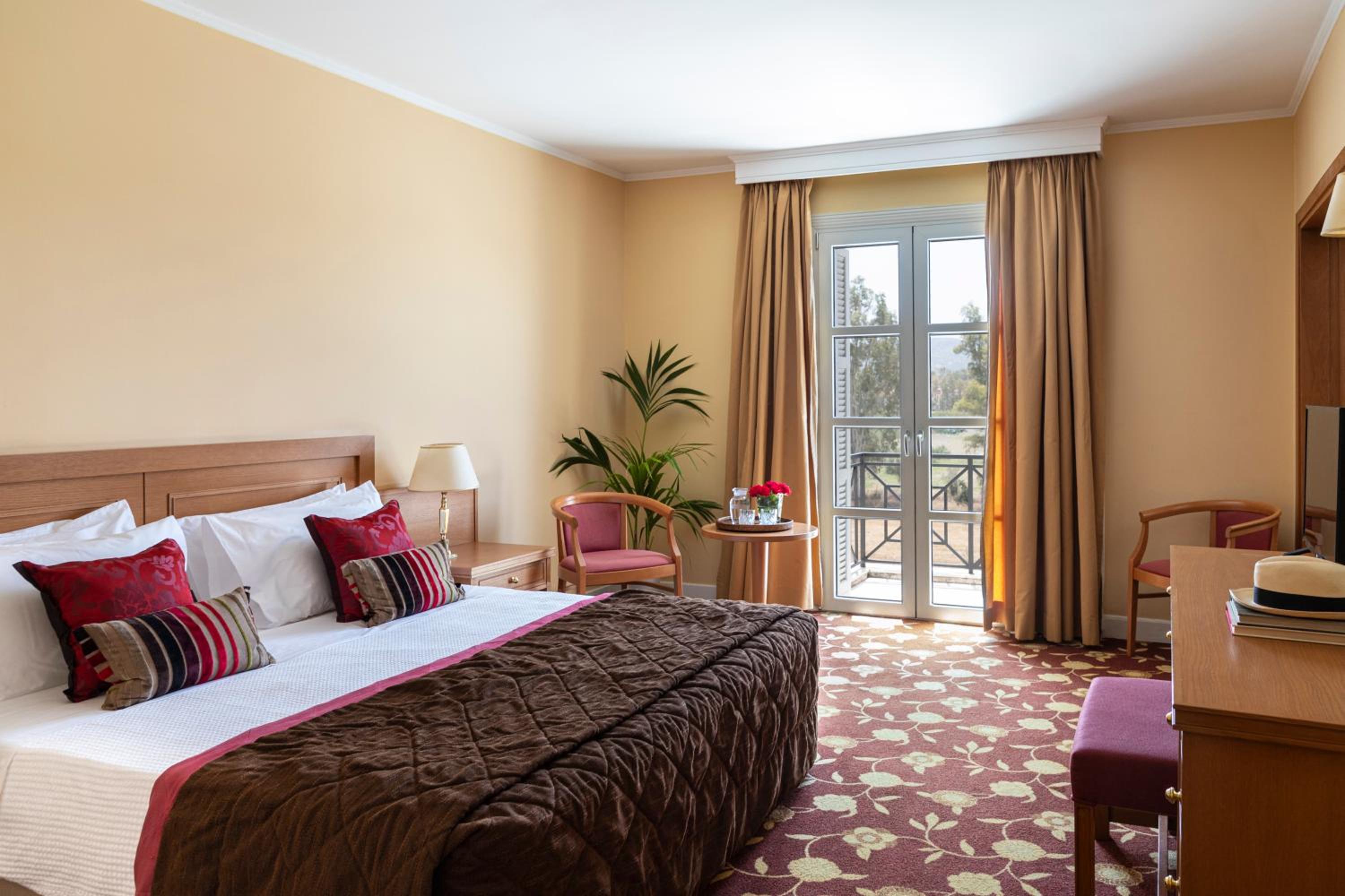 Suite - Photo 1
