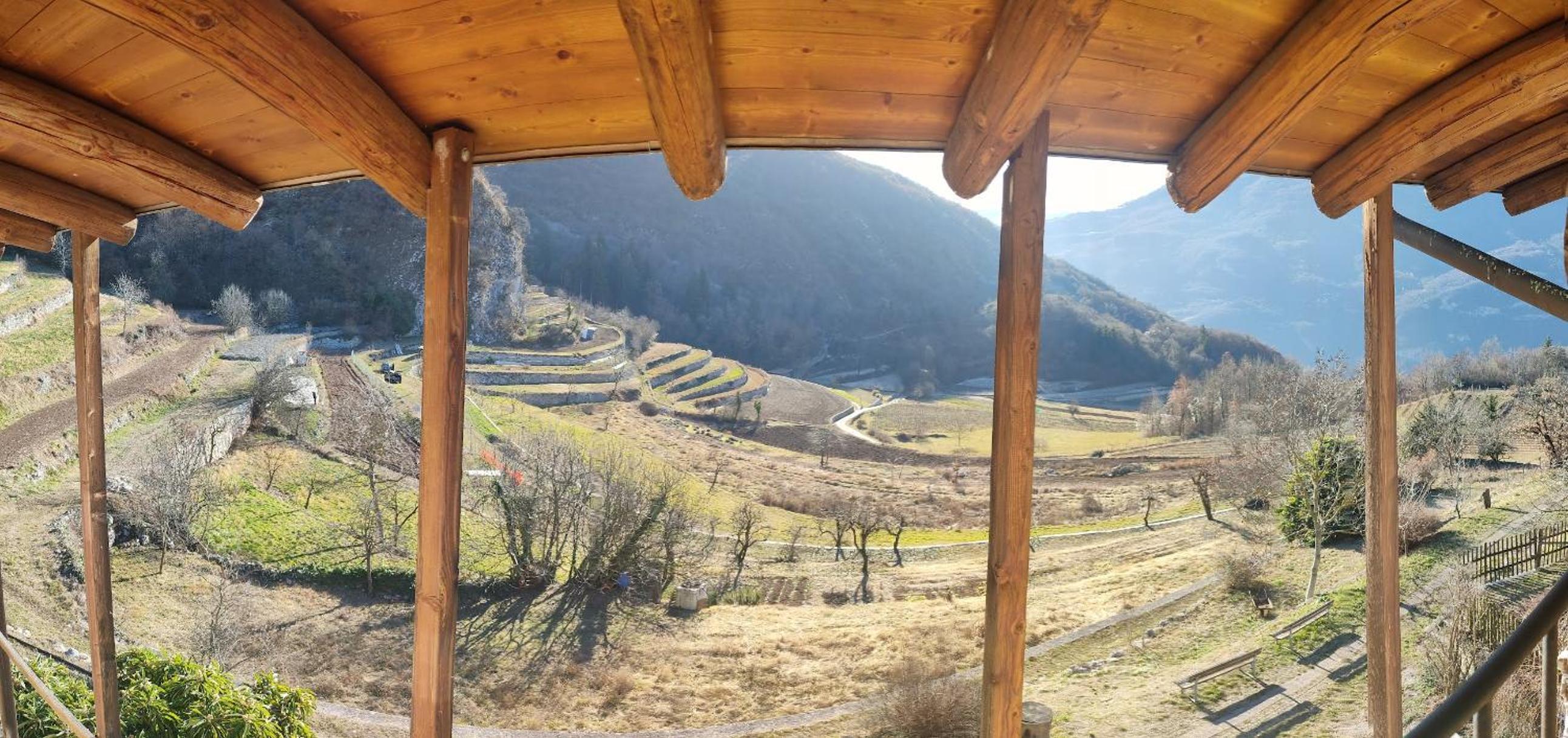 Studio with Mountain View photo 3
