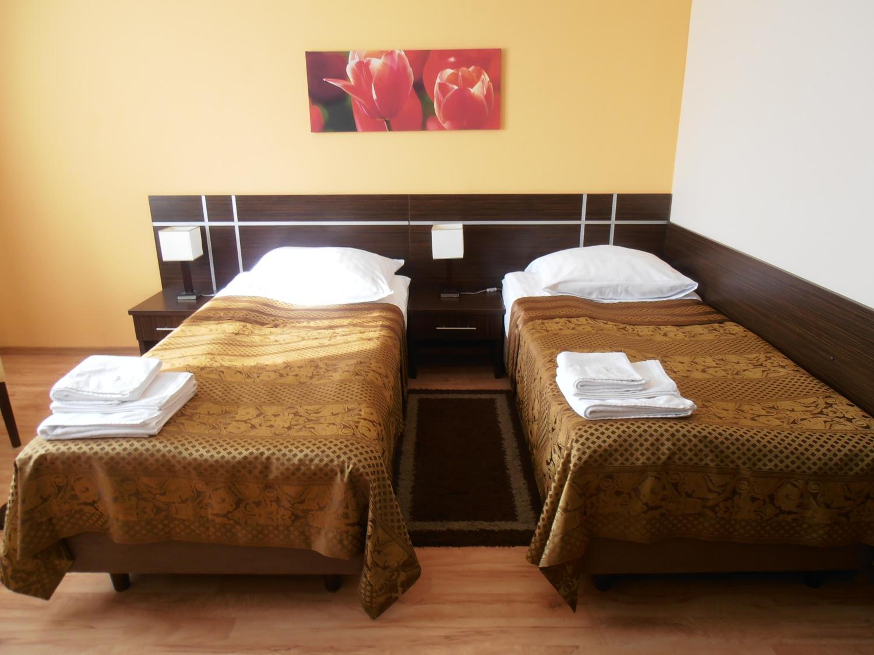 Large Single Room