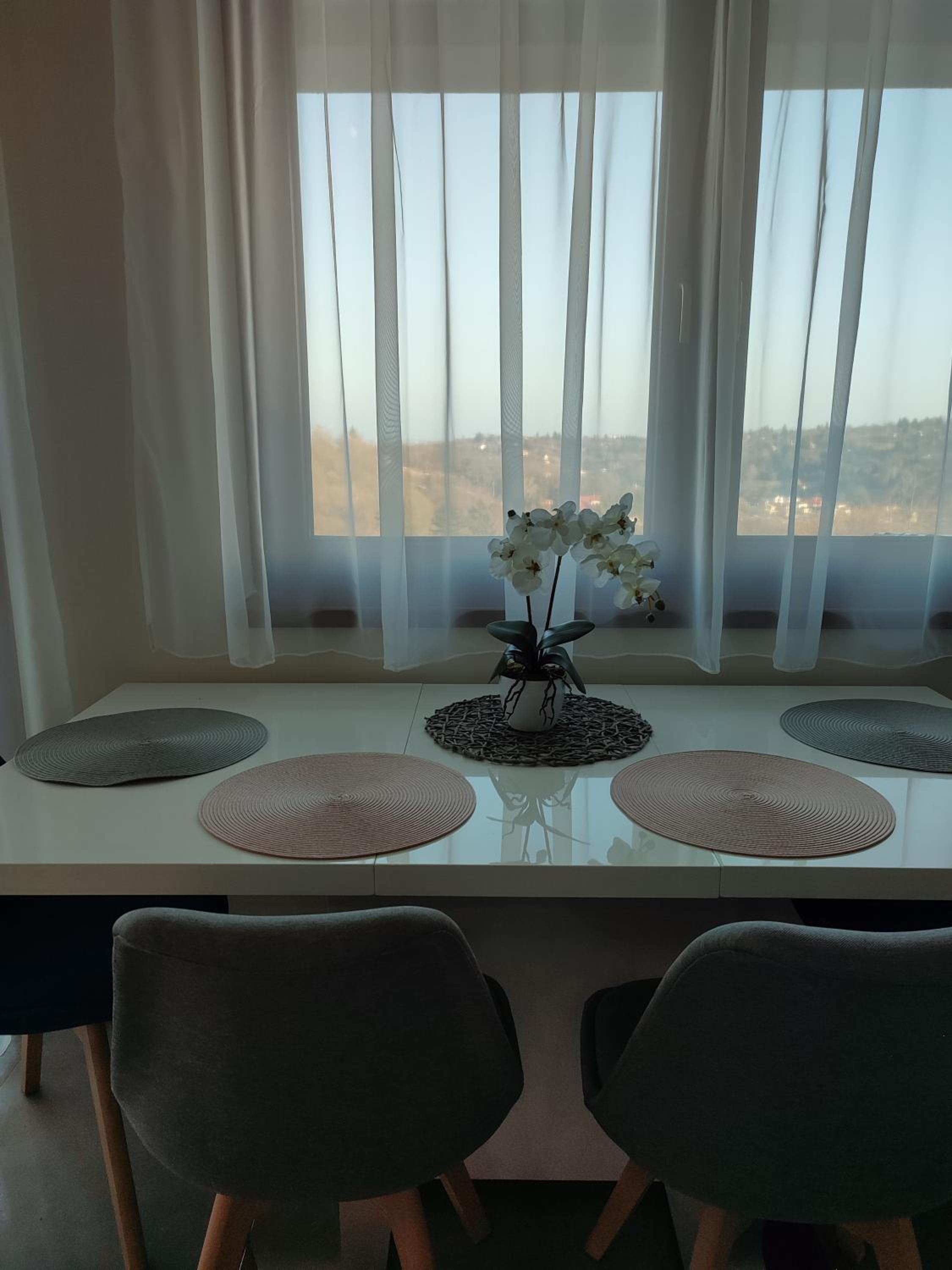 Apartment with Terrace - Photo 21
