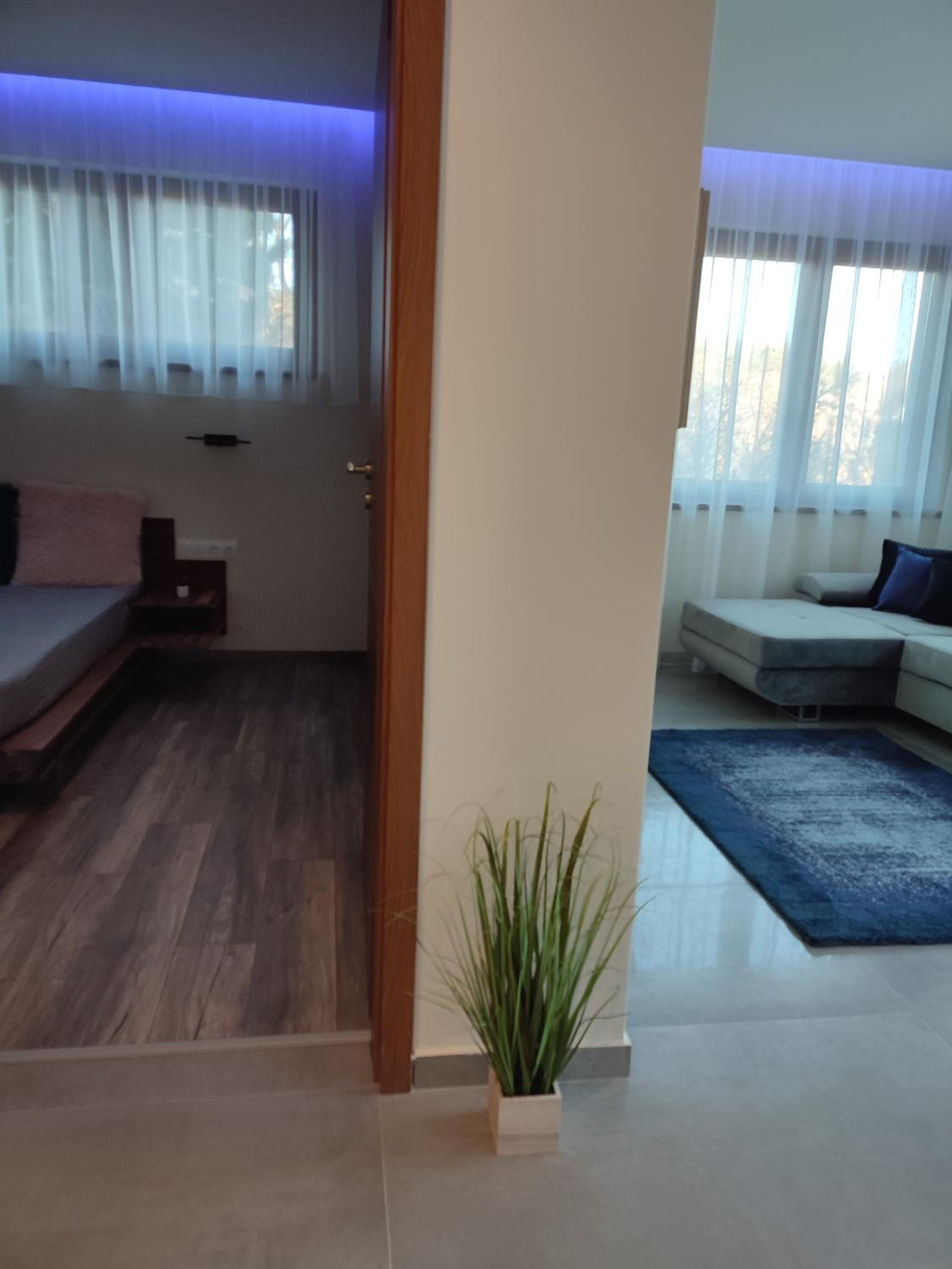 Apartment with Terrace - Photo 8