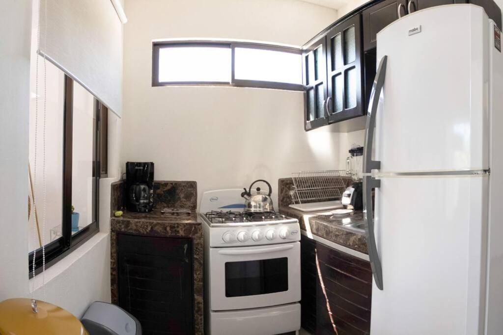 One-Bedroom Apartment photo 3