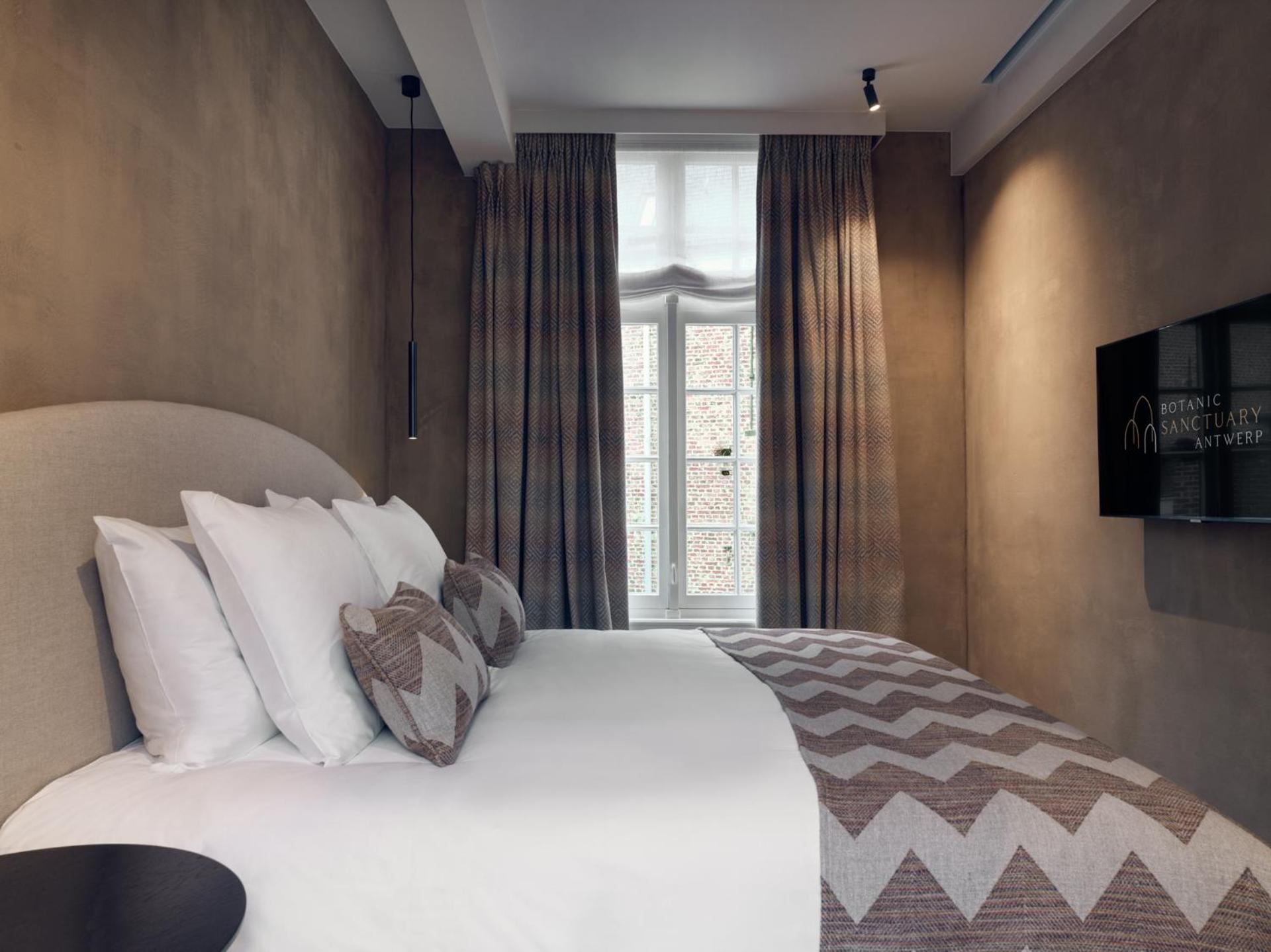 Suite - Photo 6