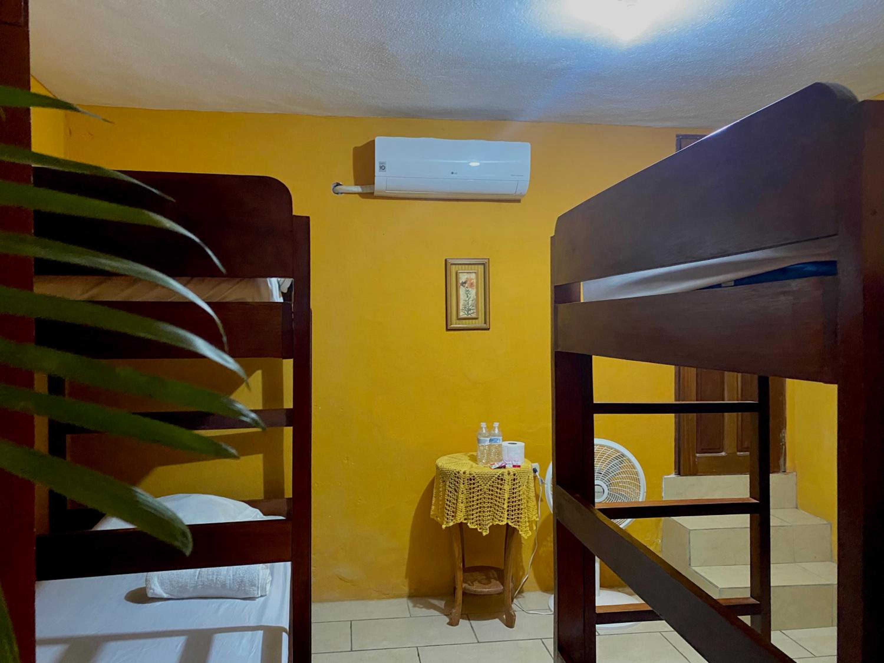 Single Bed in 4-Bed Dormitory Room