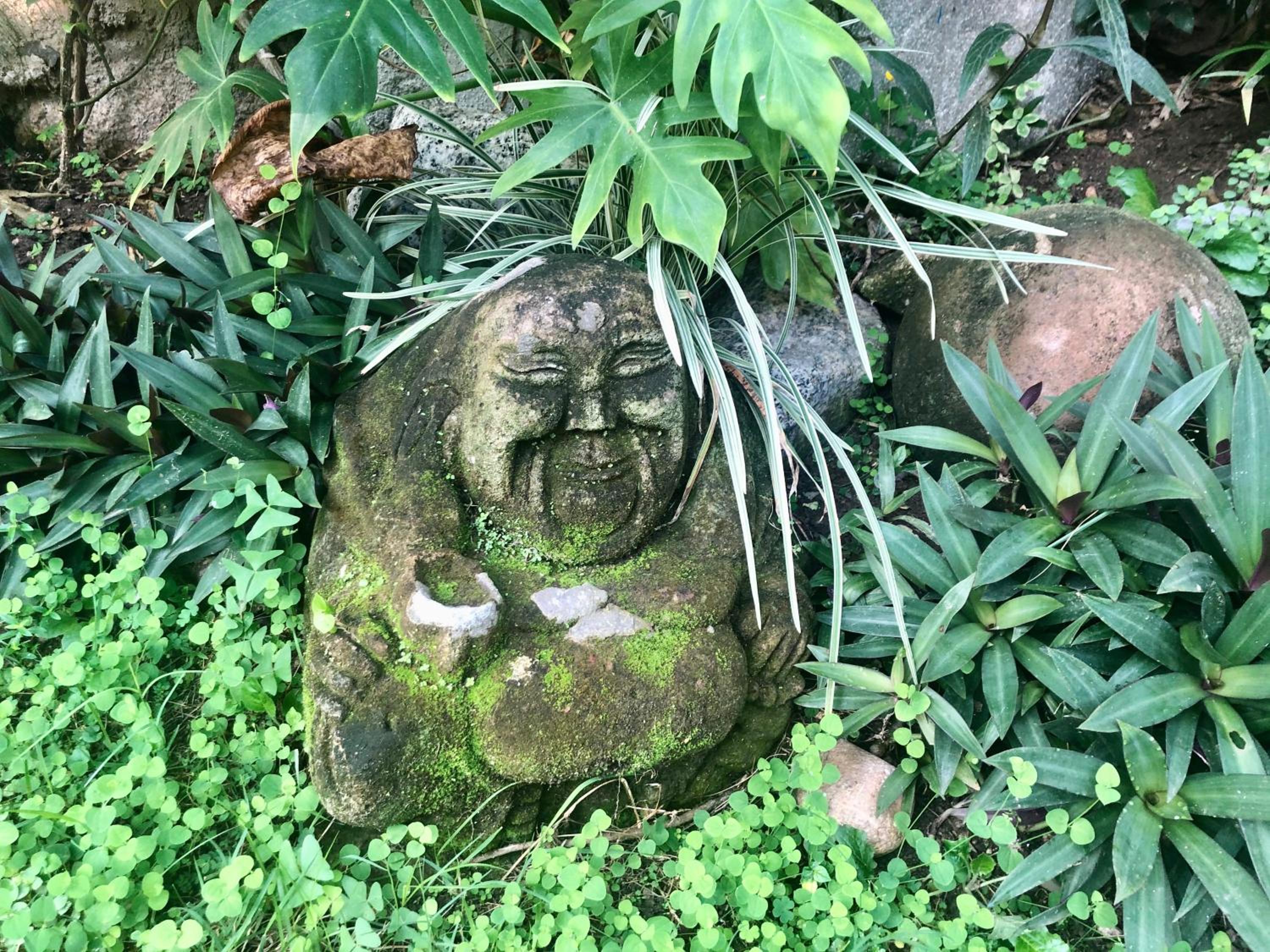 Jungle Hideaway - Photo 32
