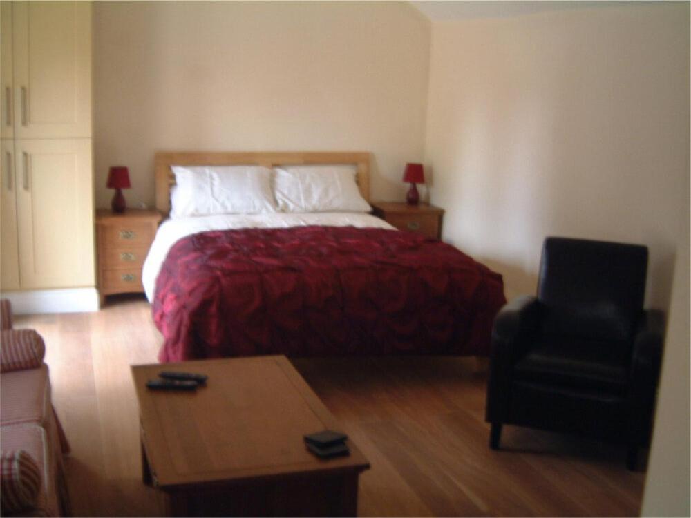 King Studio with Sofa Bed photo 1