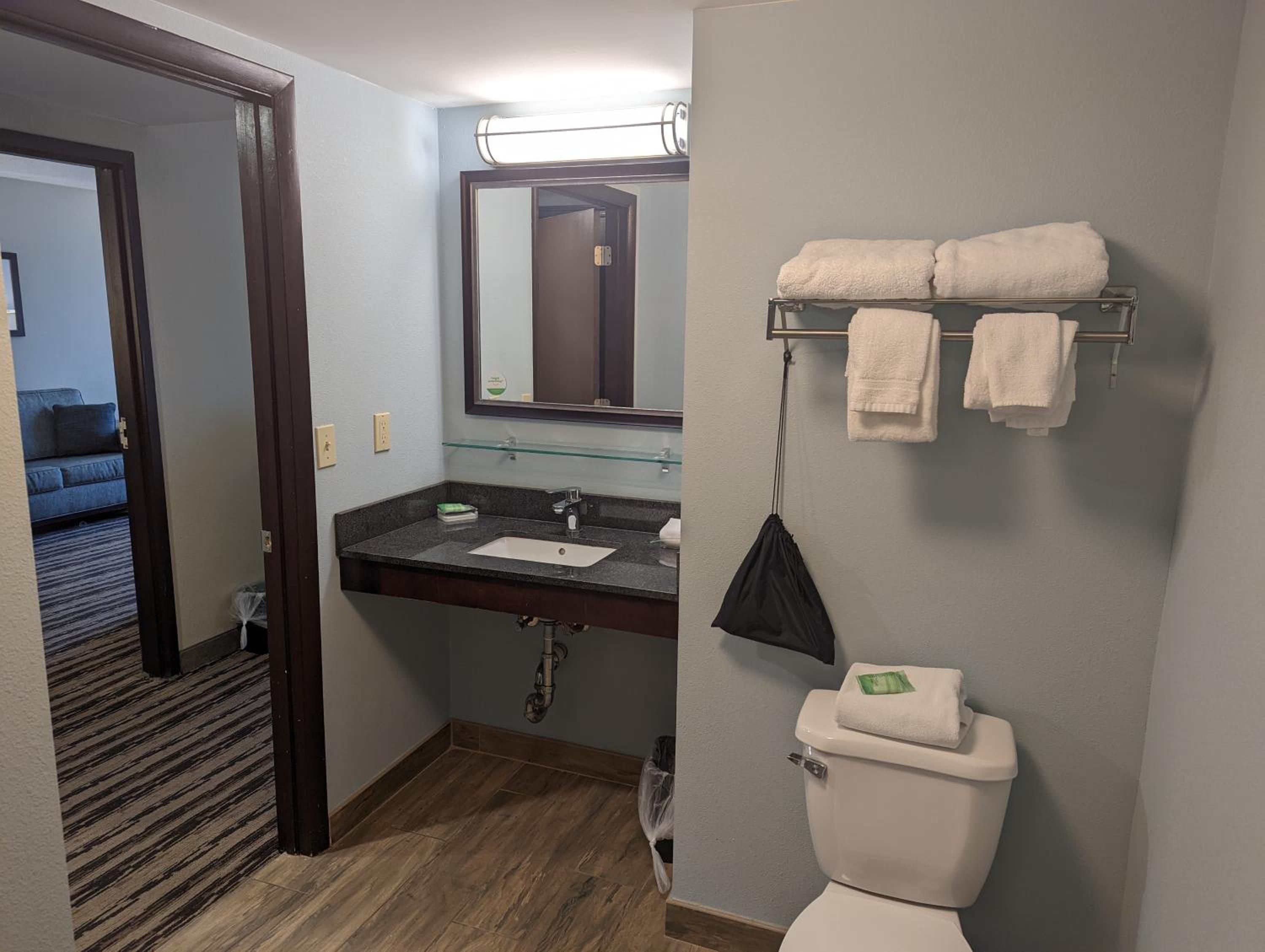 One-Bedroom King Suite - Photo 7
