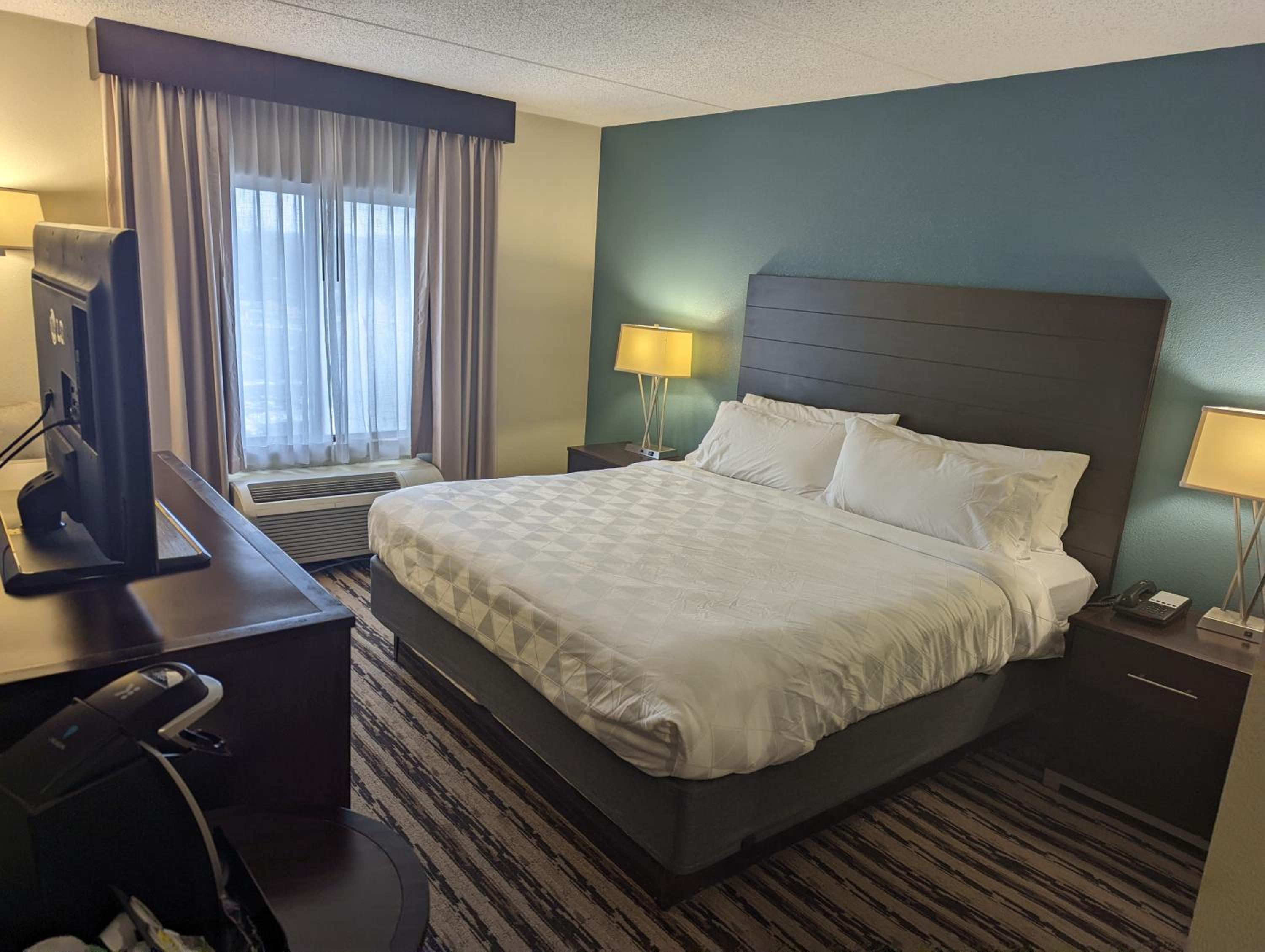 One-Bedroom King Suite - Photo 1