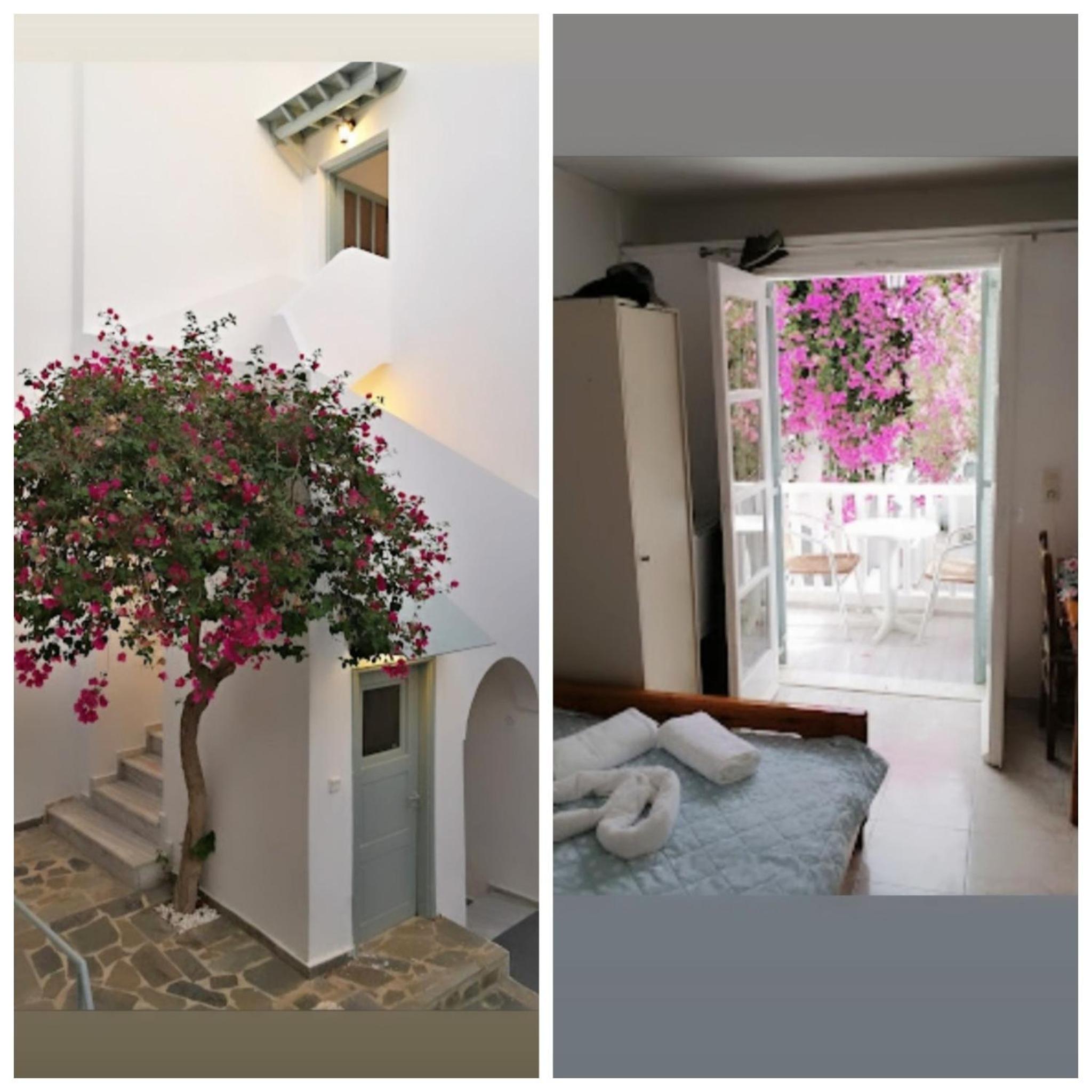 Budget Double or Twin Room - Photo 7